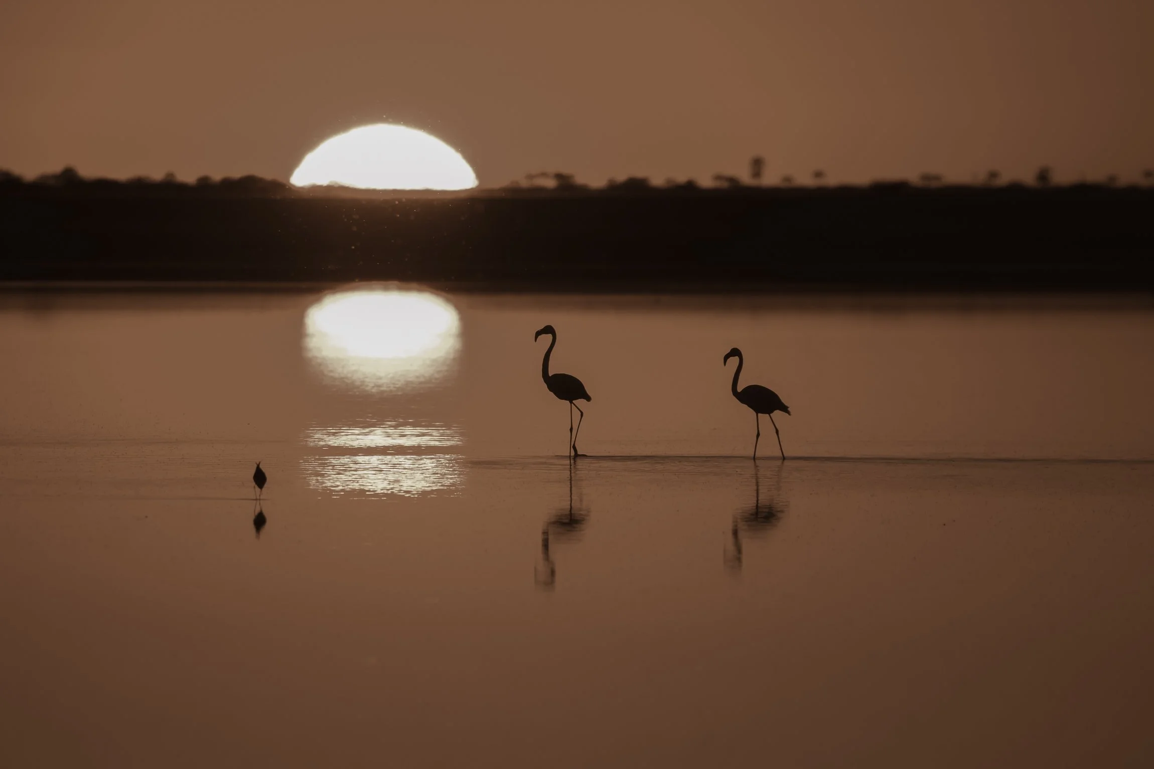 botswana-kalahari-magadigadi-pans-6.jpg