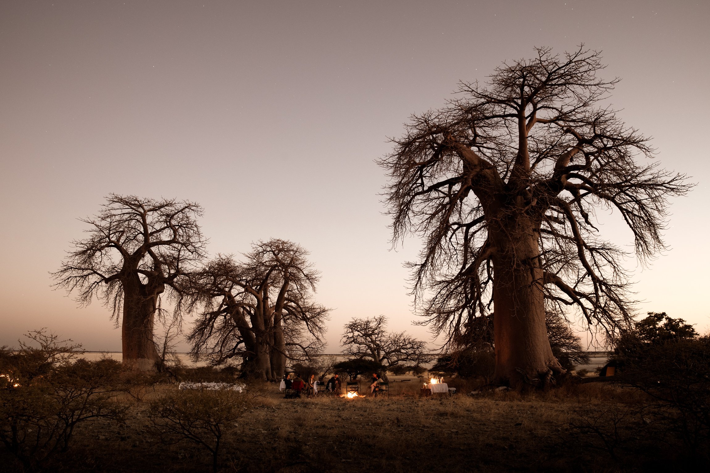 botswana-kalahari-magadigadi-pans-16.jpg