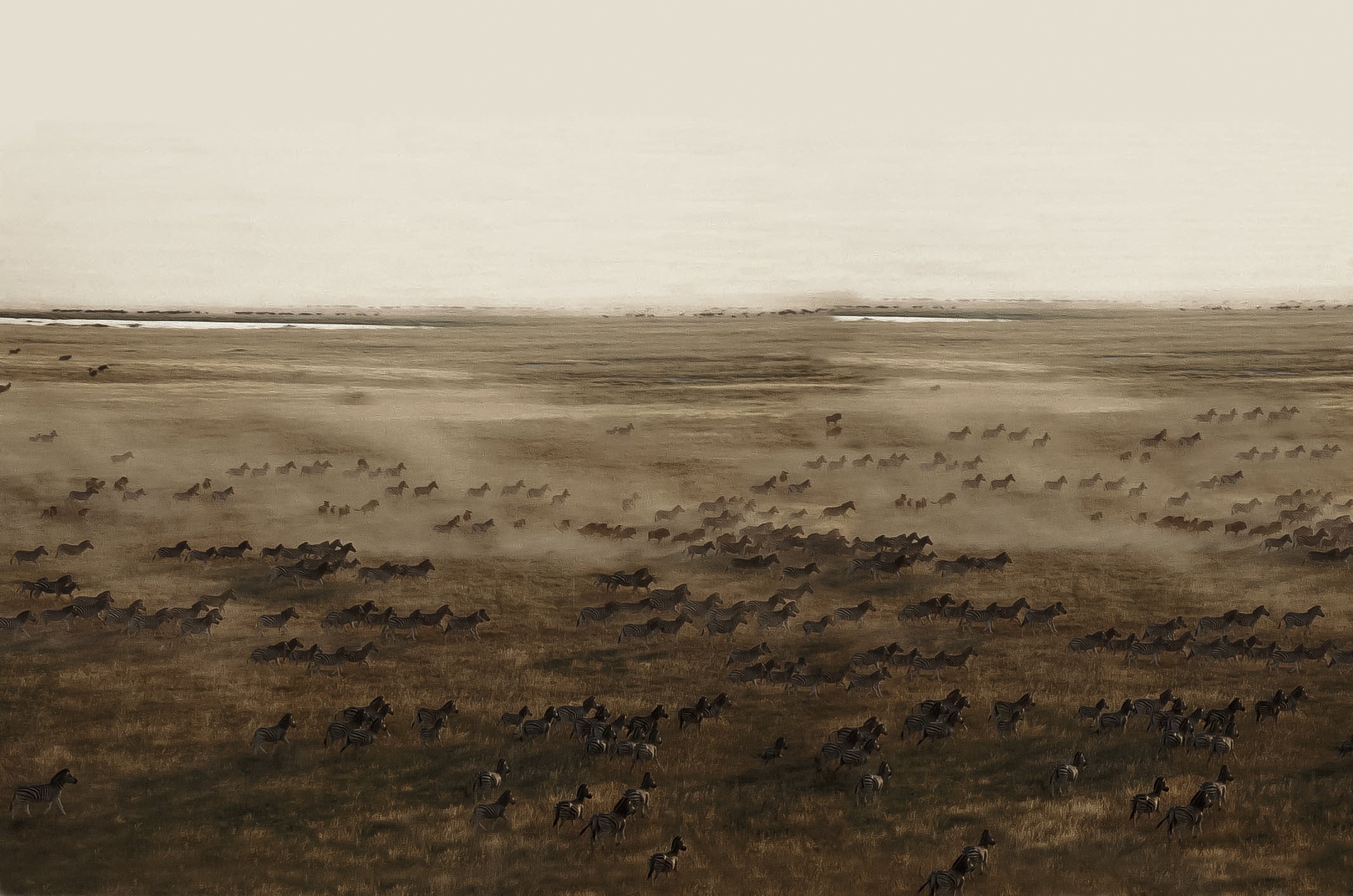 botswana-kalahari-magadigadi-pans-1.jpg