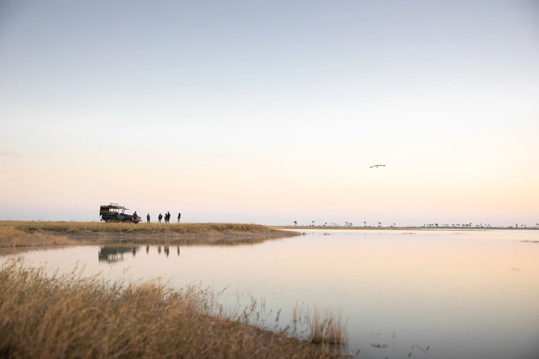 11 Makgadikgadi Game drive.jpg