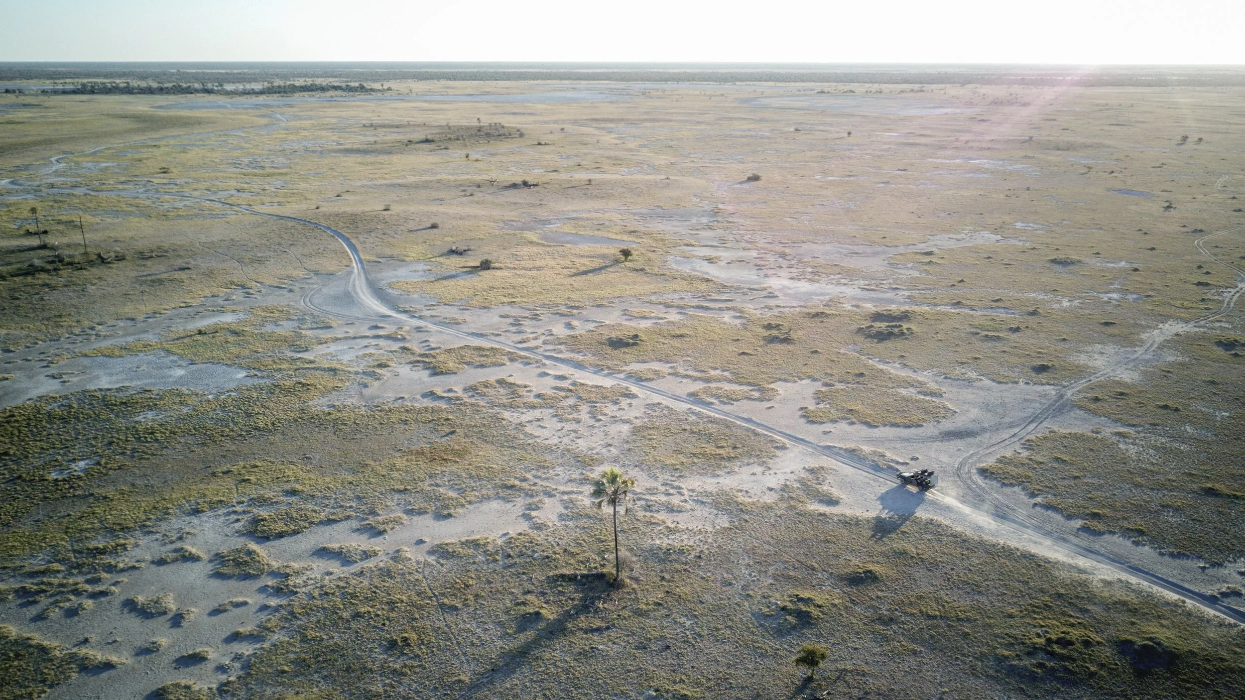 05 Makgadikgadi Game drive.jpg
