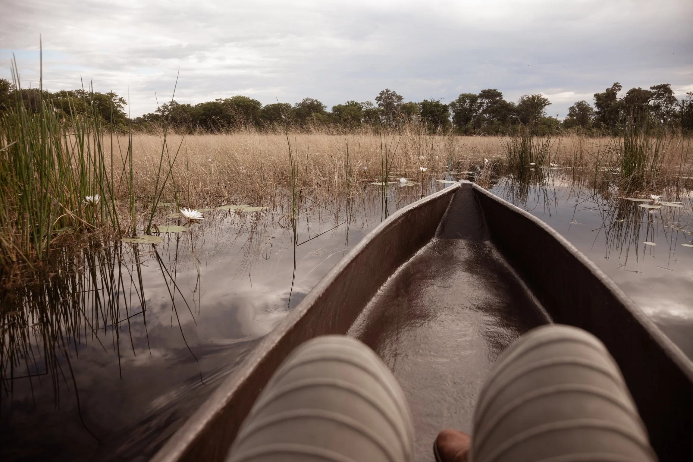 botswana-okavango-delta-12.jpg