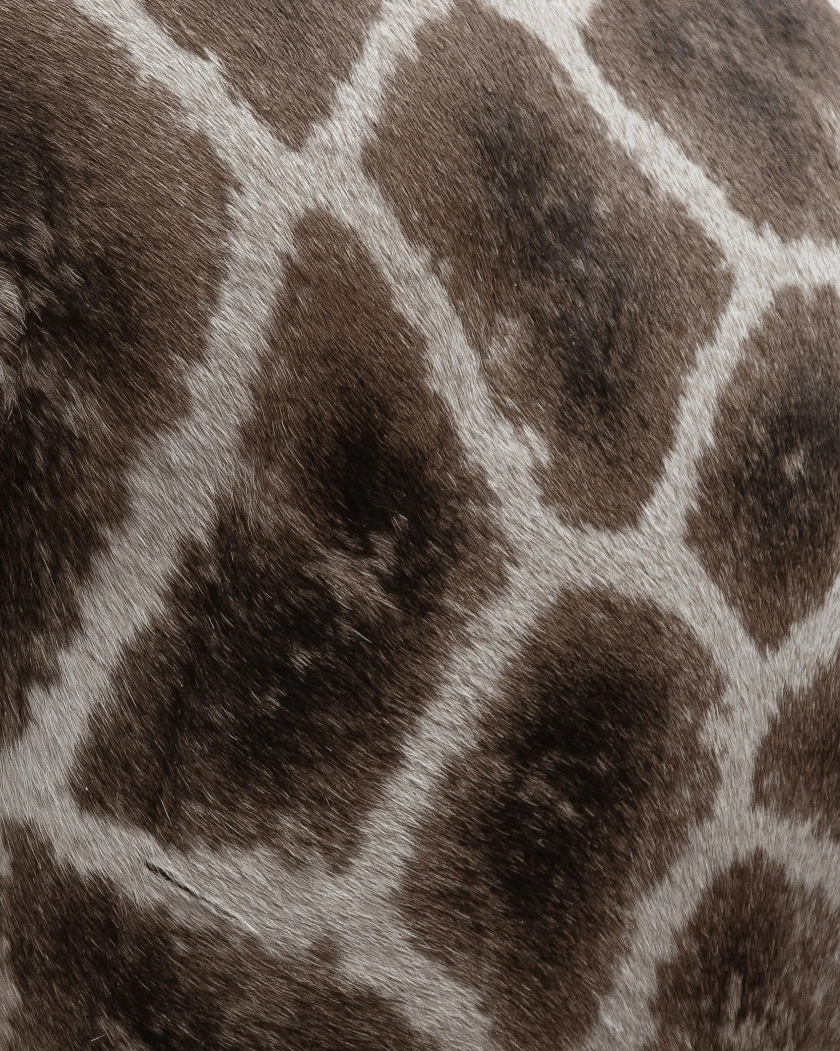 Artwork 5.jpg