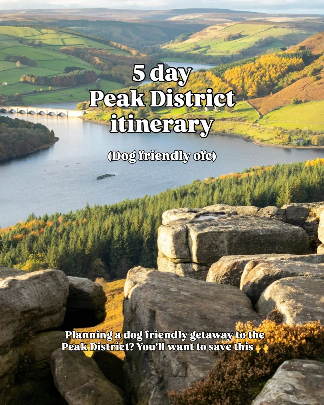 Heading to the Peak District with your dog? You&rsquo;ll want to save this one 😍 

Want my full 5 day itinerary? Comment GUIDE and I&rsquo;ll send you the link. It&rsquo;s a bit like my North Norfolk one if you&rsquo;ve already downloaded that, and 