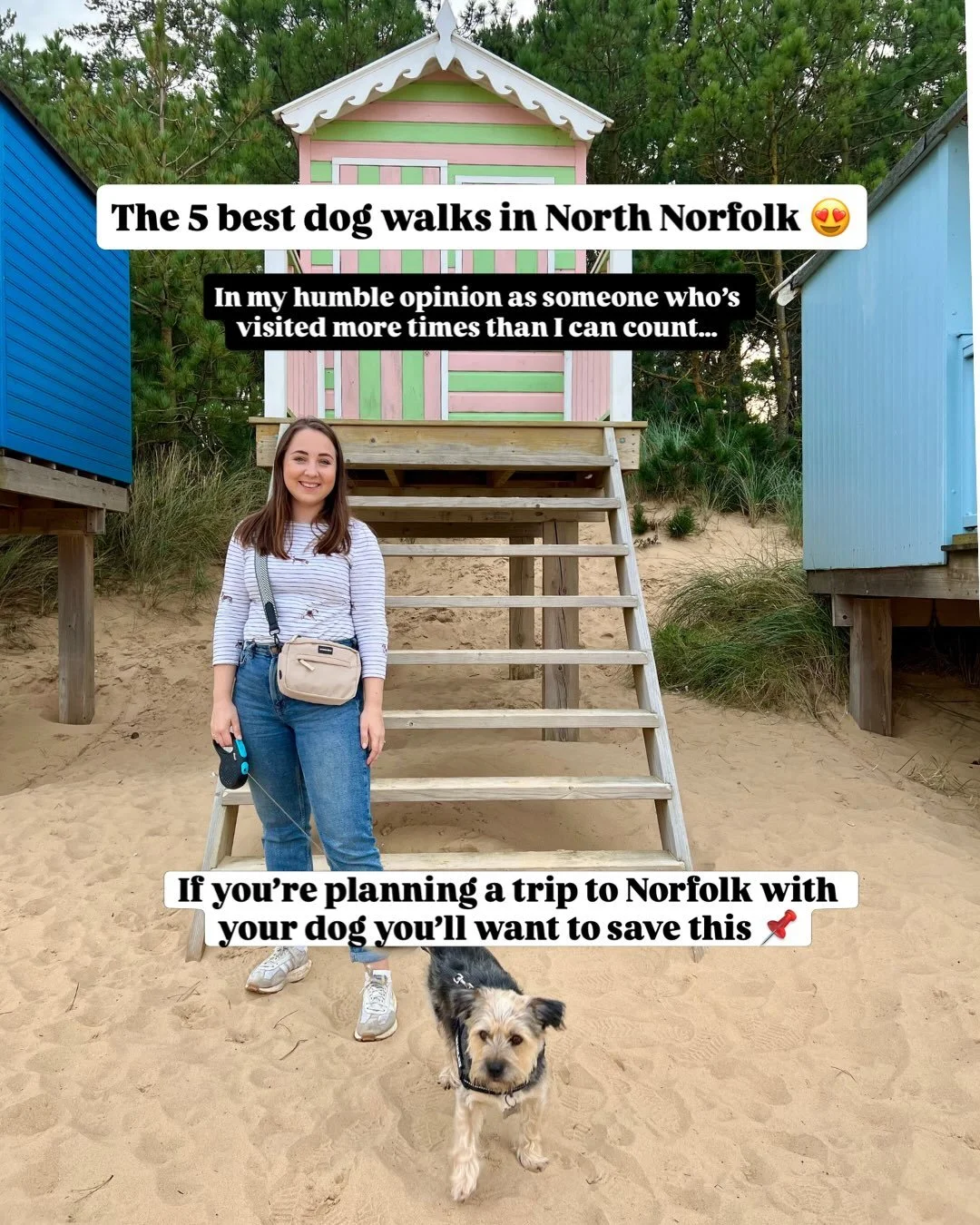 North Norfolk is home to some of the BEST dog walks in the UK in my humble opinion. Whether you&rsquo;re looking for vast sandy beaches, peaceful pinewoods or sweeping parkland, these are the walks I find myself doing time and time again. They&rsquo;