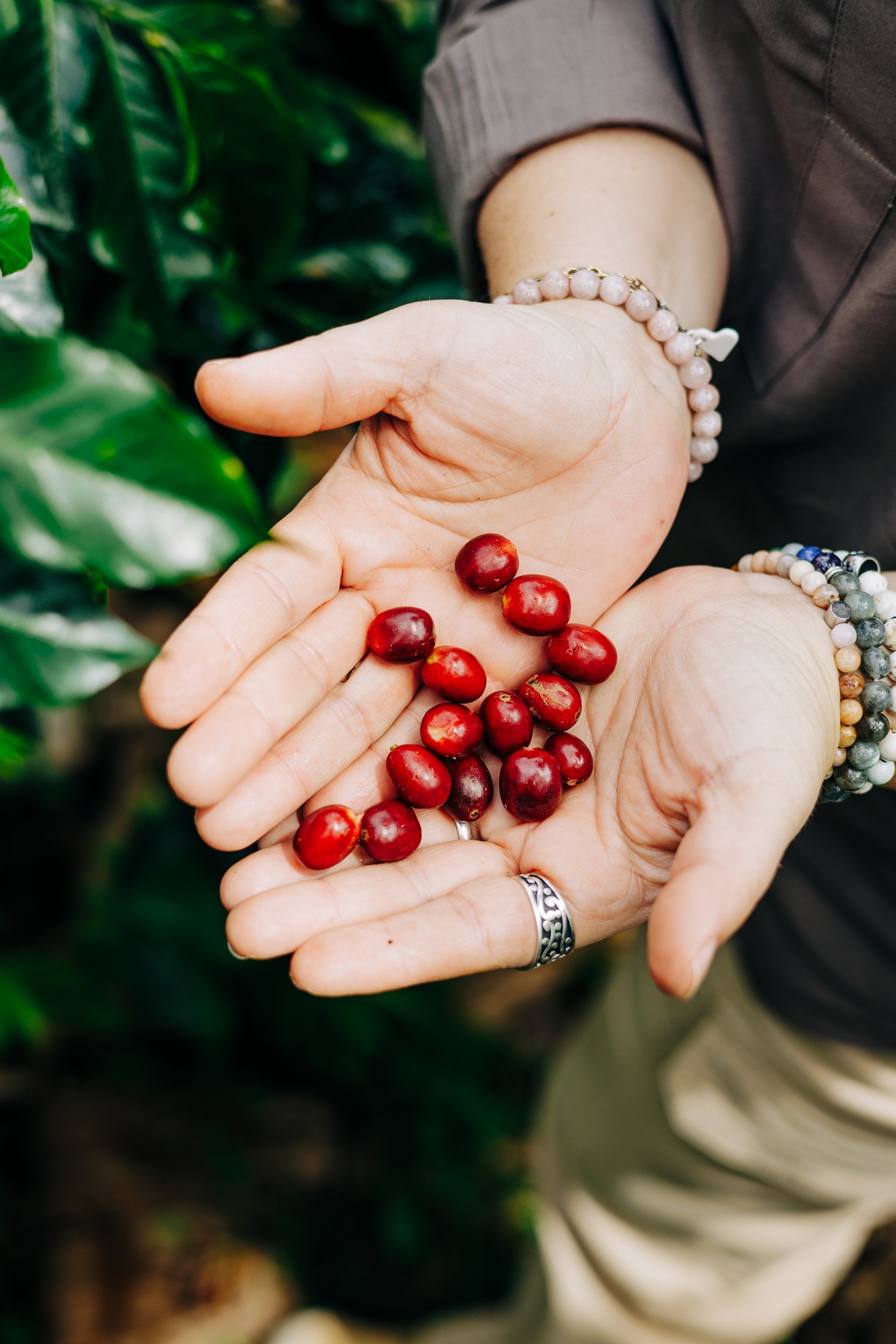 Sumatra
