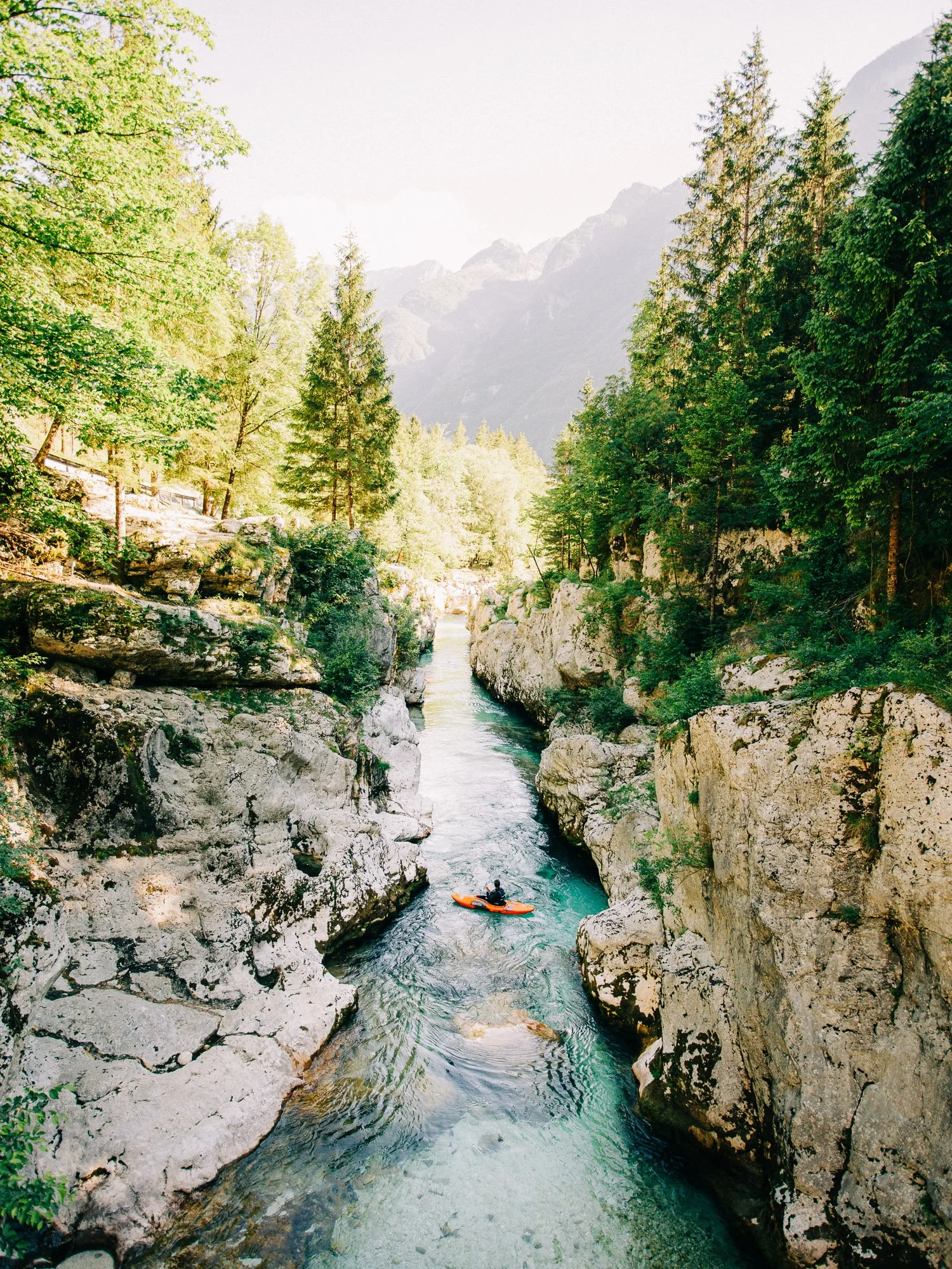 Canoé dans une rivière escarpée entourée de falaises rocheuses et de forêts de conifères, avec des montagnes en arrière-plan.