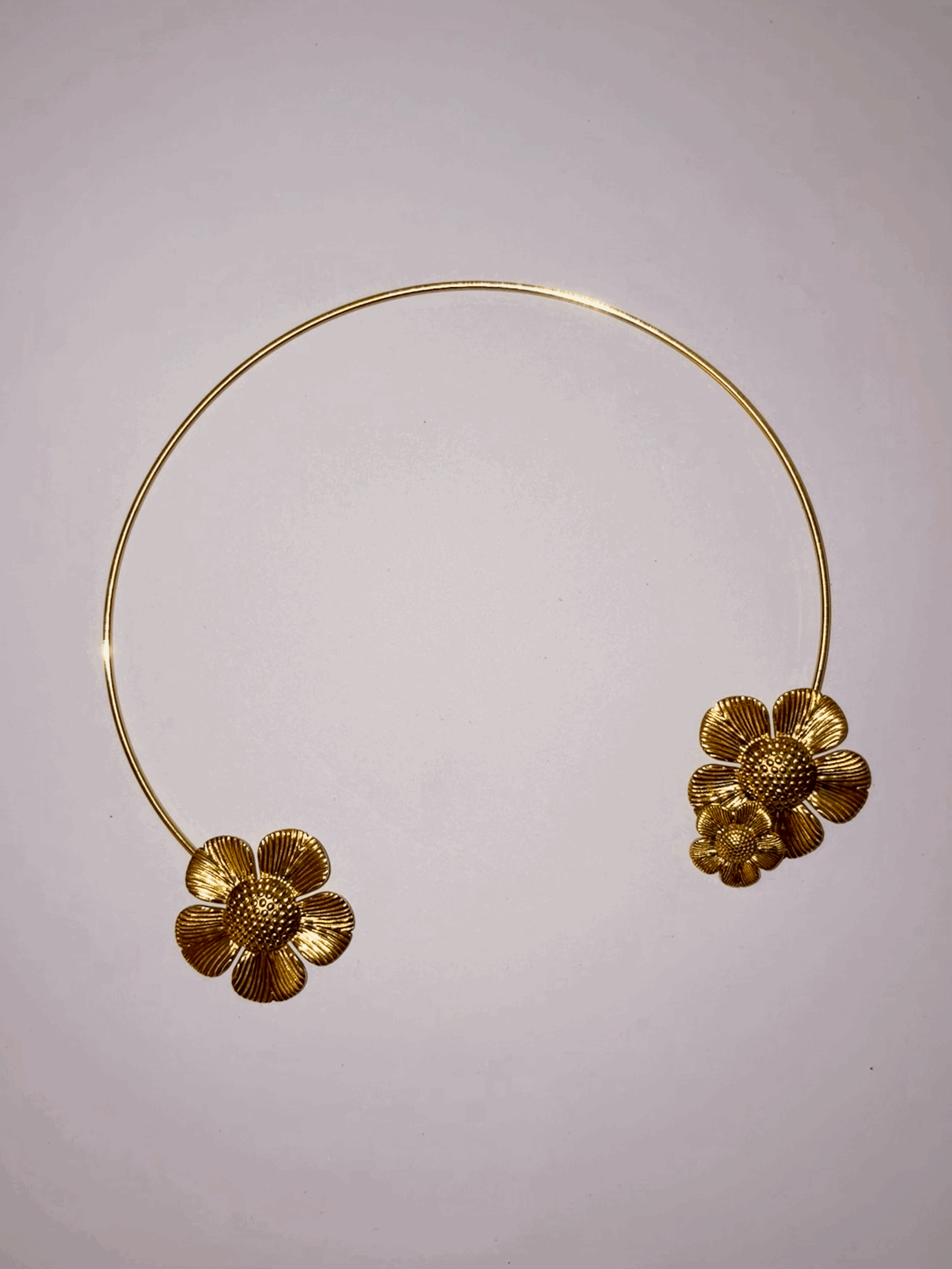 Collar Nox