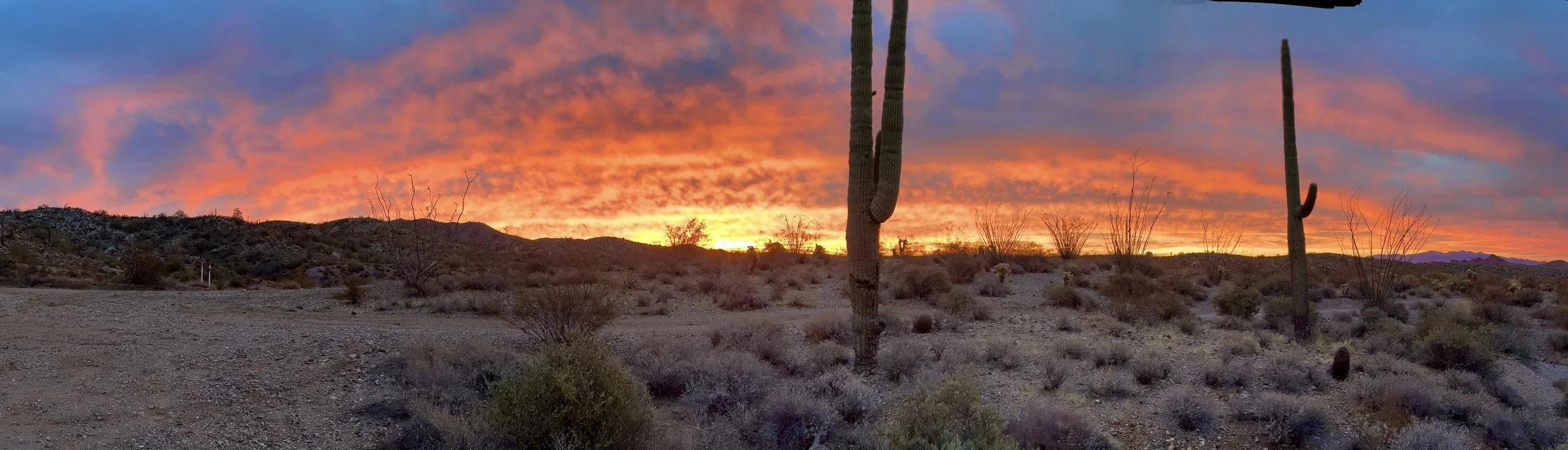 Arizona desert sunset with vibrant orange and pink clouds, desert vegetation, and saguaro cacti.