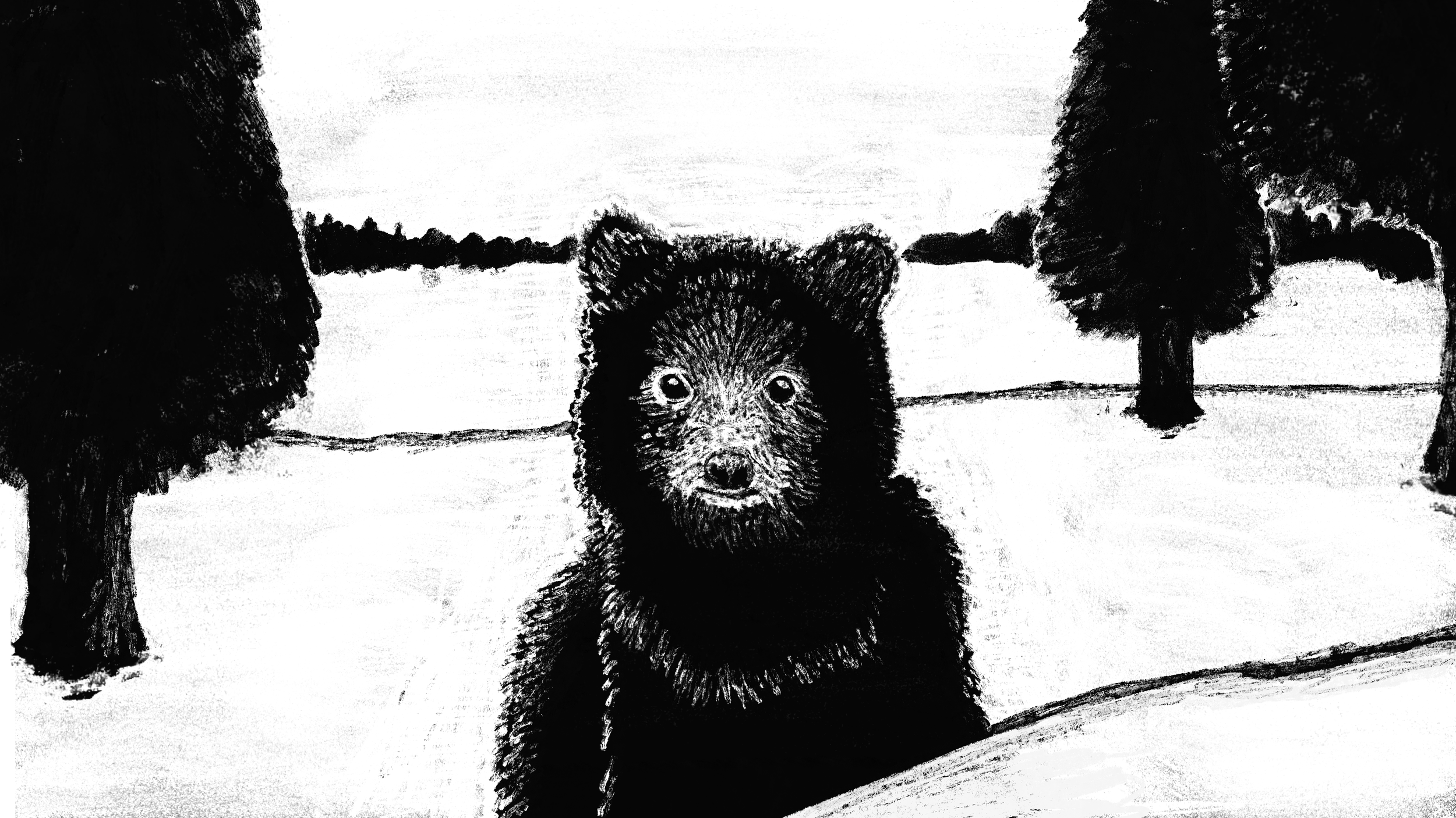 A black and white drawing of a bear cub in the center, with two adult bears on either side, and trees in the background.