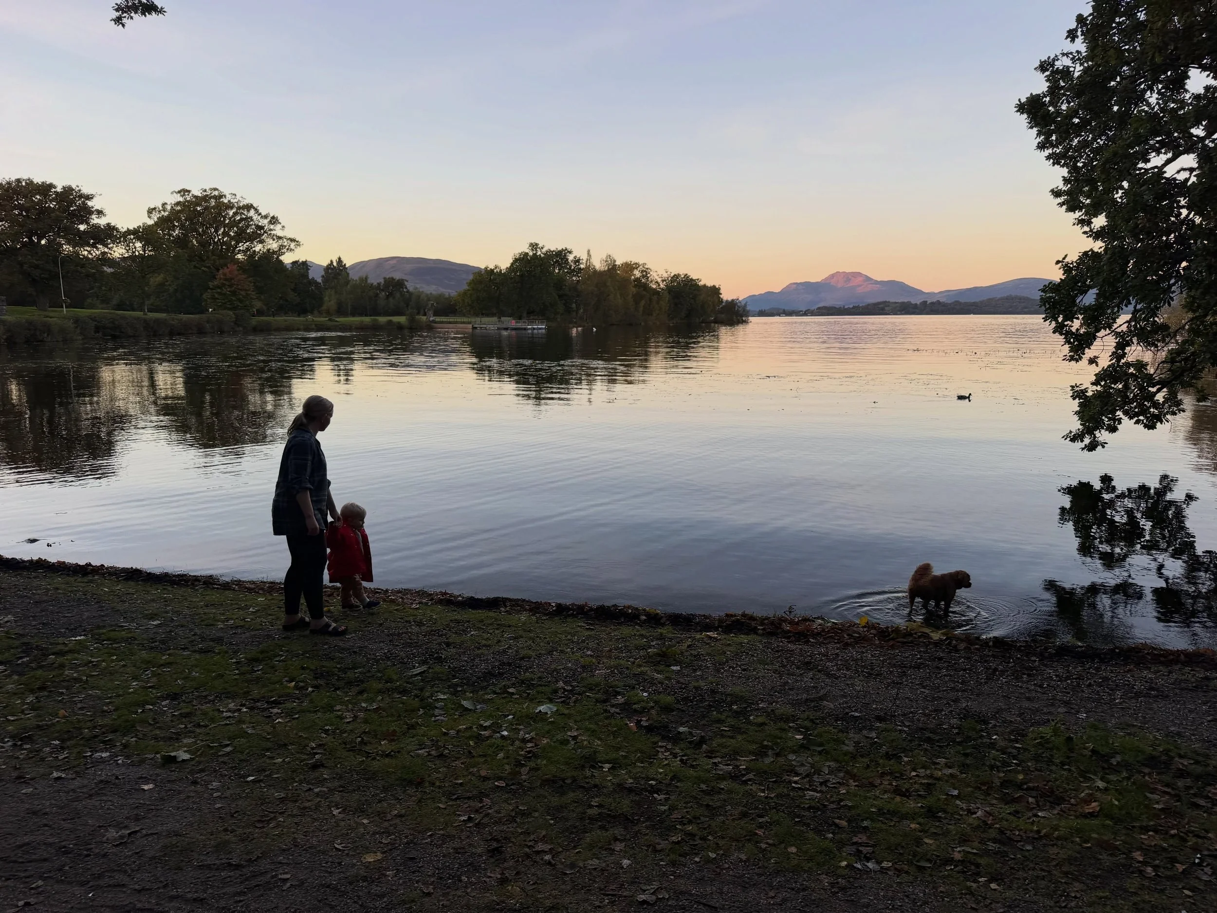 Not my best. Here&rsquo;s a picture of my family in the highlands to cheer myself up.

https://www.craigshubin.com/blog/screen-name