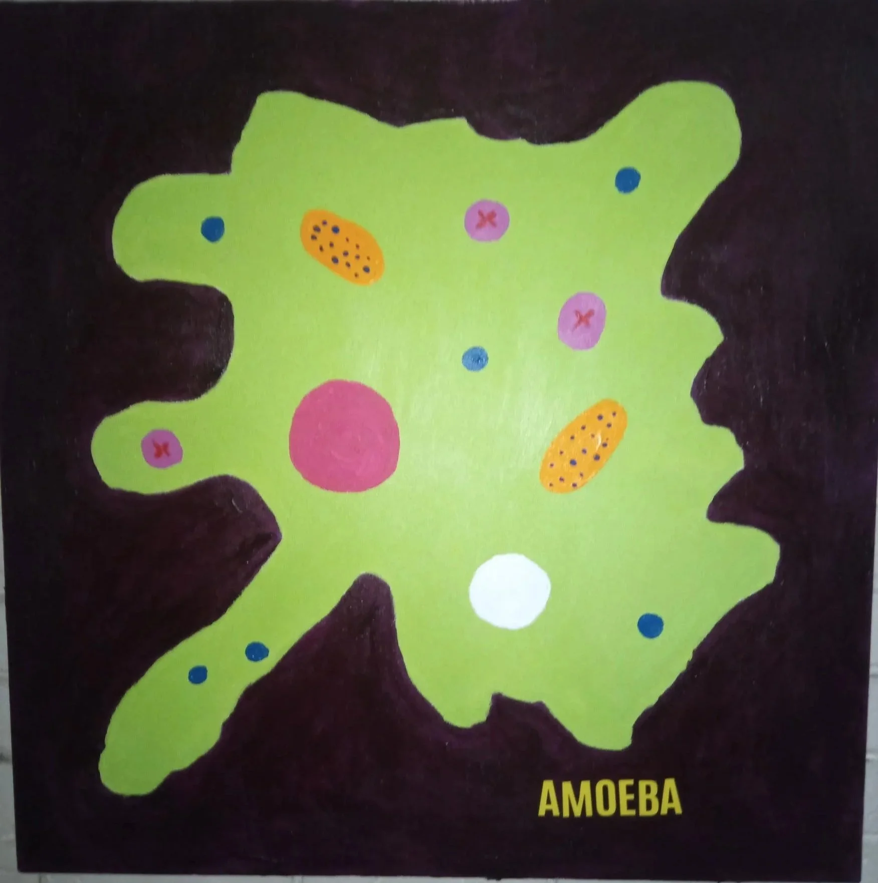 amoeba.jpg