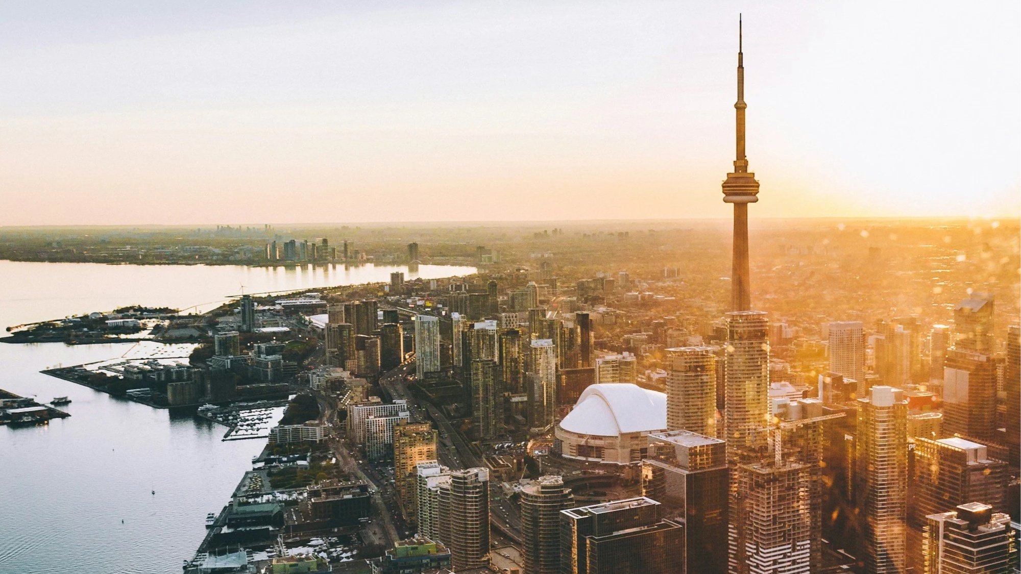 unsplash-image-qlKaN7eqay8.jpg