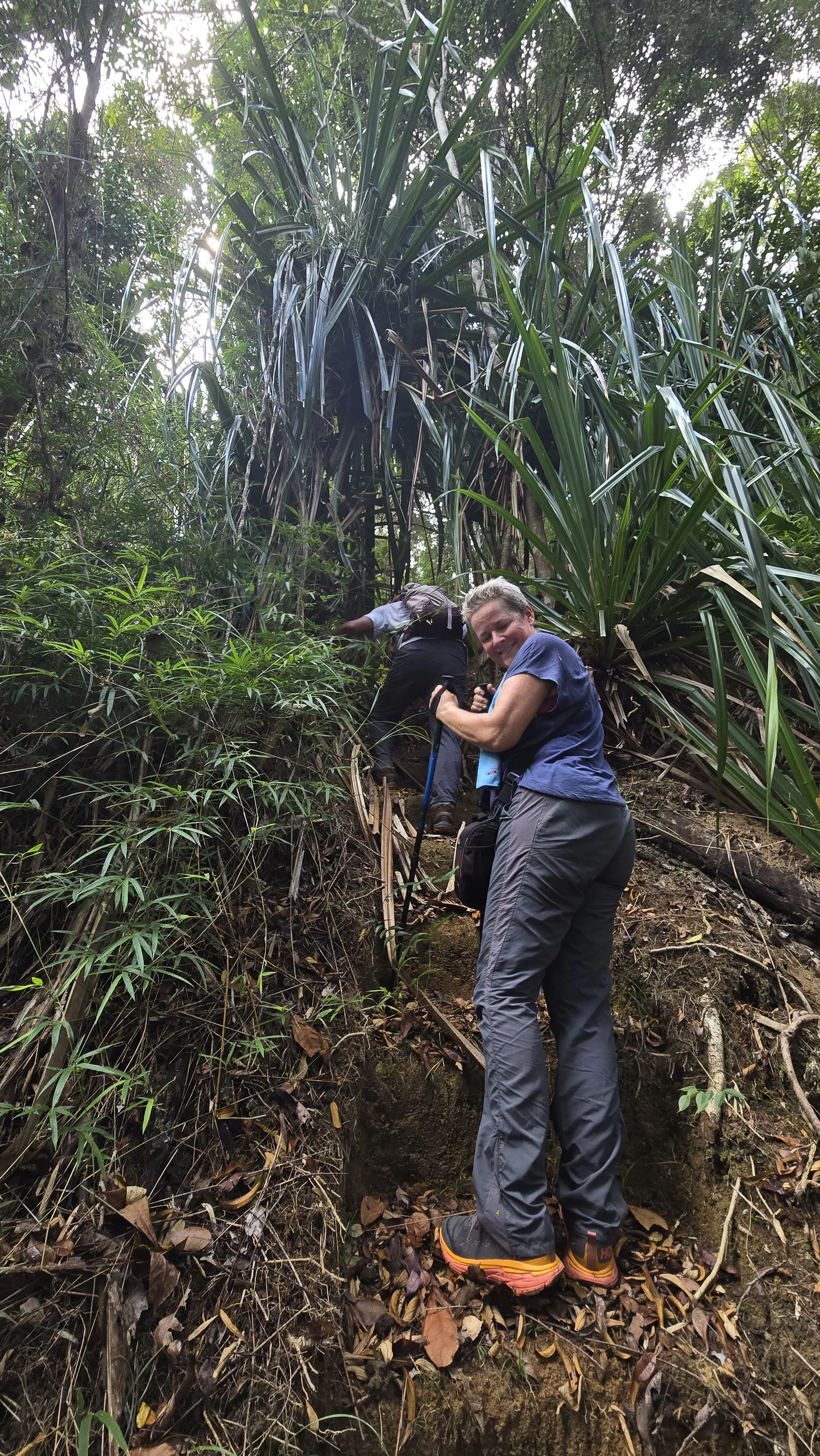 Deux personnes explorant une jungle dense, marchant sur un sentier accidenté avec des plantes tropicales, portant des vêtements de randonnée et utilisant des bâtons pour l'aide.
