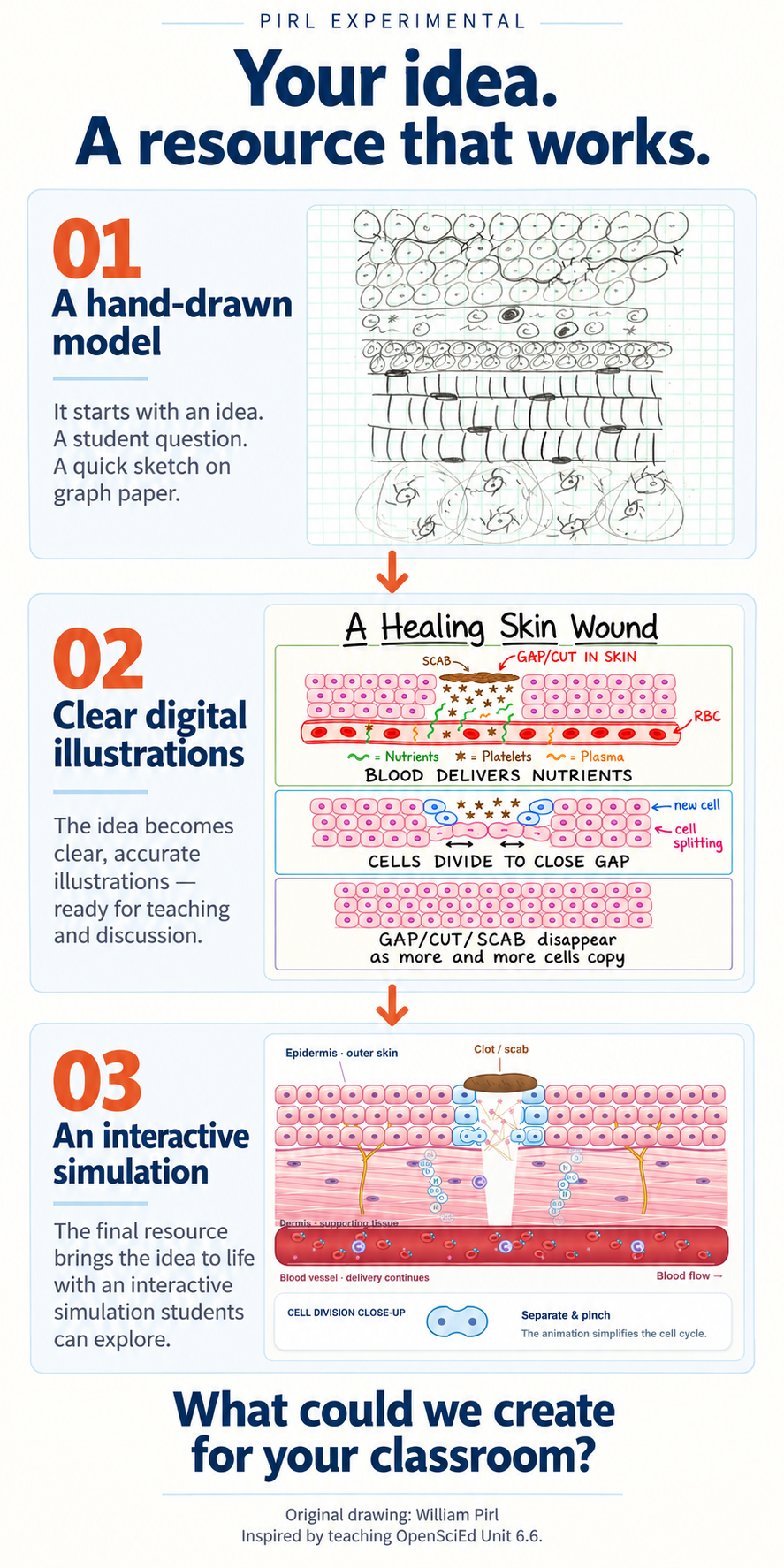 Infographic demonstrating a step-by-step approach to creating teaching resources for science education. Shows a hand-drawn model sketch, a clear digital illustration of skin wound healing, and an interactive simulation of cell division, with a question at the bottom about classroom applications.