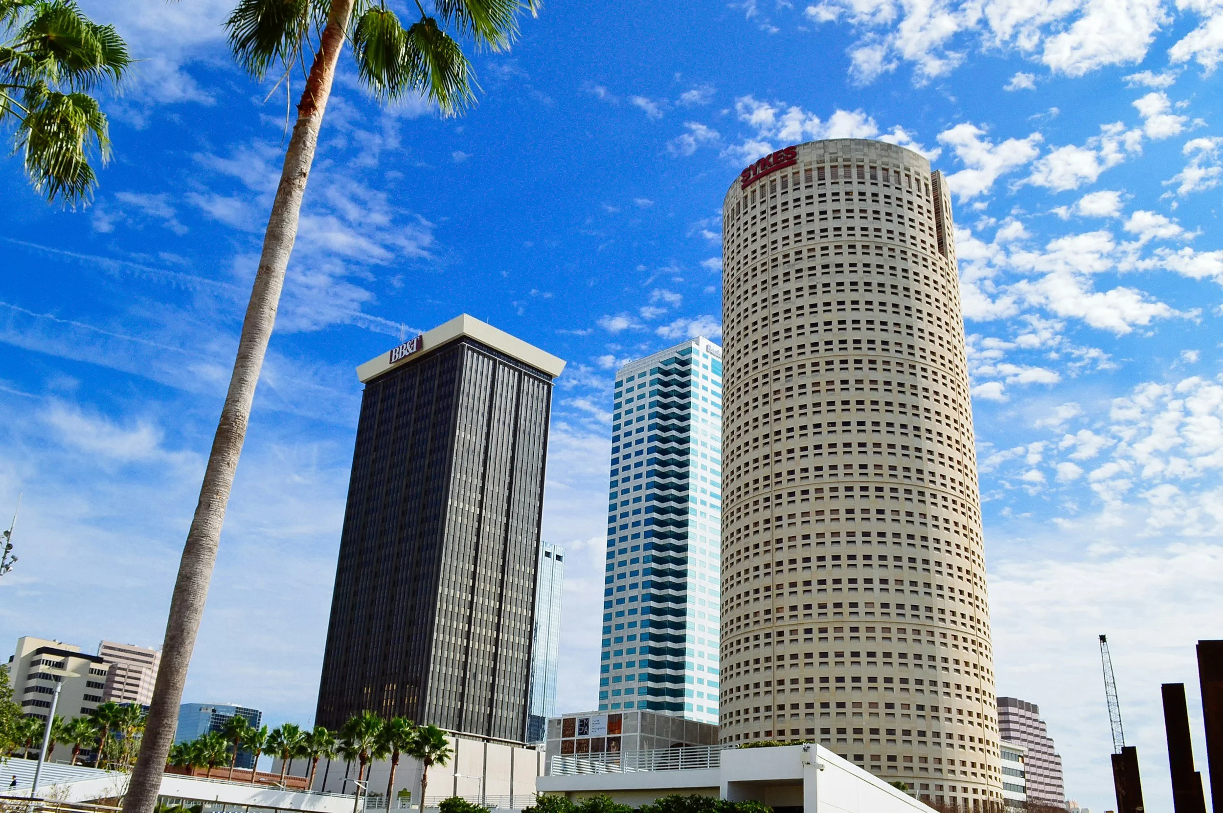 Tampa, Florida city skyline with a blue sky and white clouds, and palm trees in the foreground.