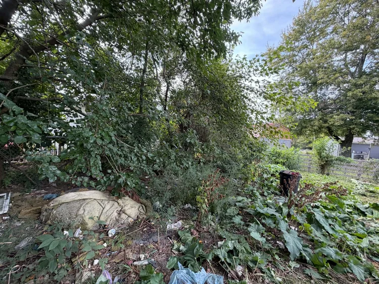 Cleanup project completed by The Junk Brothers