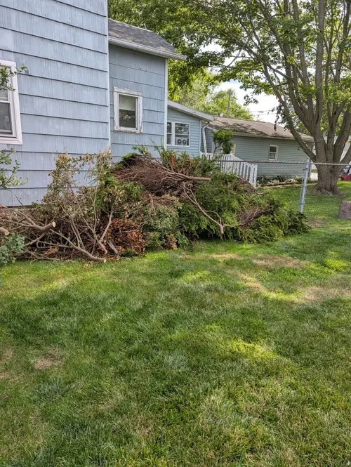 General landscaping and yard cleanup in Findlay Ohio