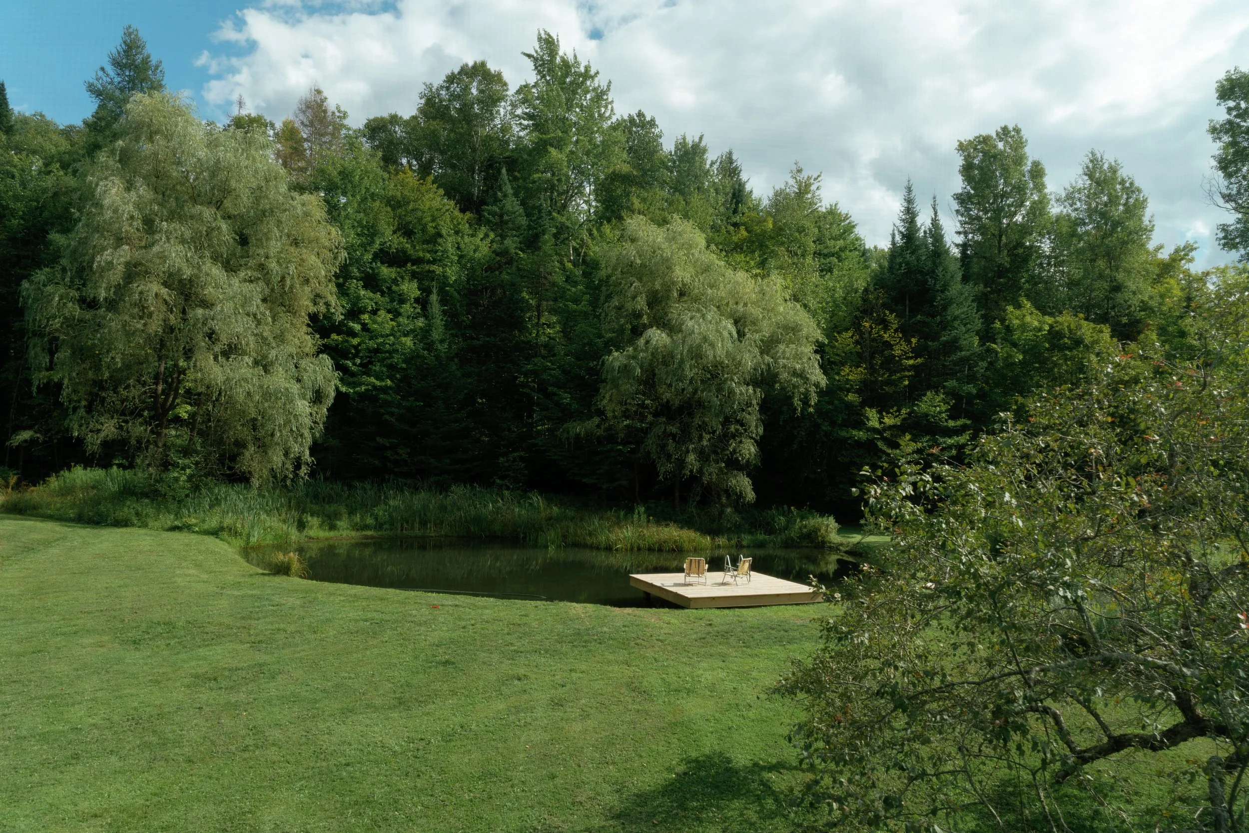 A backyard scene with green grass, a small pond, and a wooden deck with chairs, surrounded by tall green trees under a partly cloudy sky.