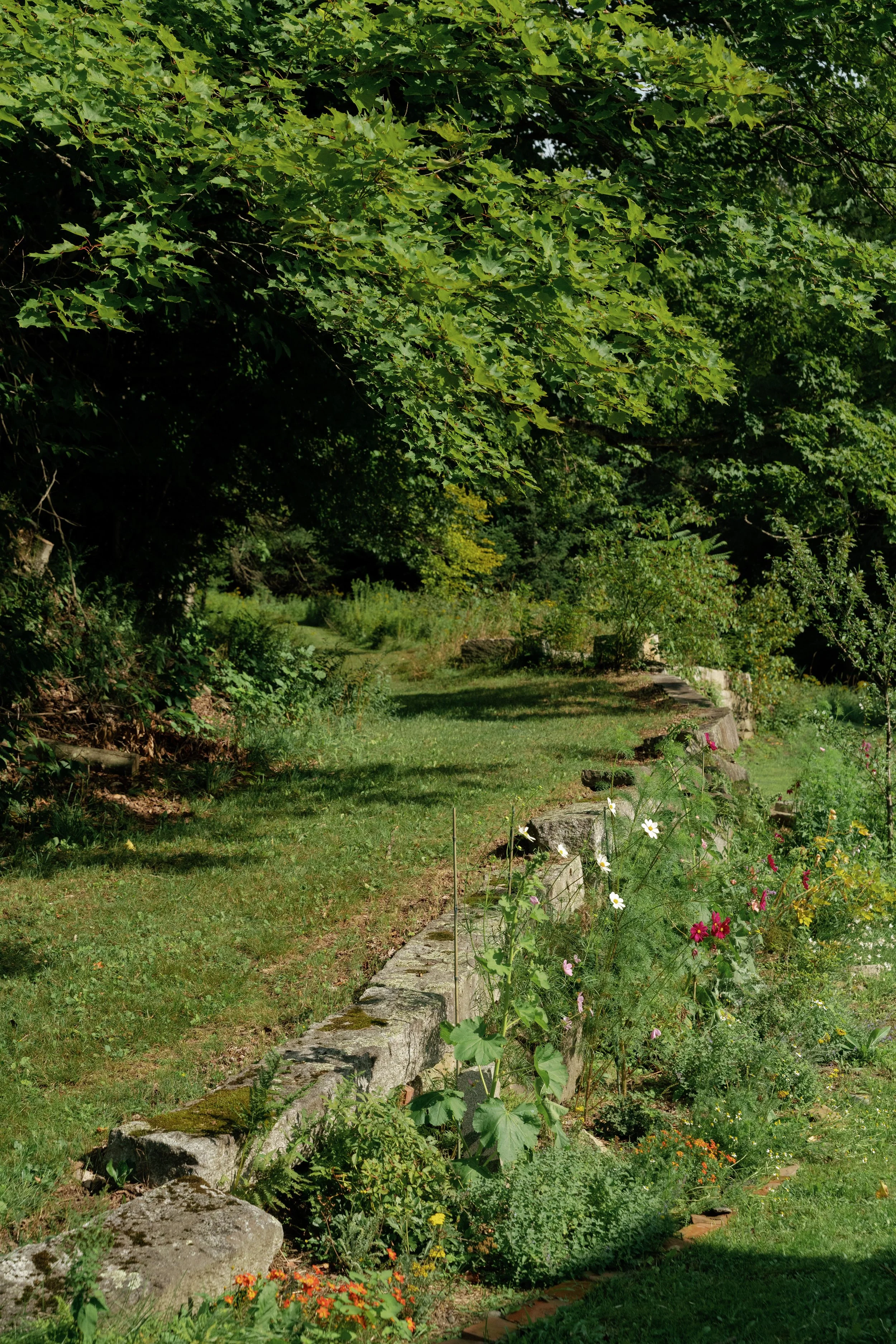 A garden with a stone border, filled with colorful flowers and lush green plants, with a large leafy tree casting shade over the area.