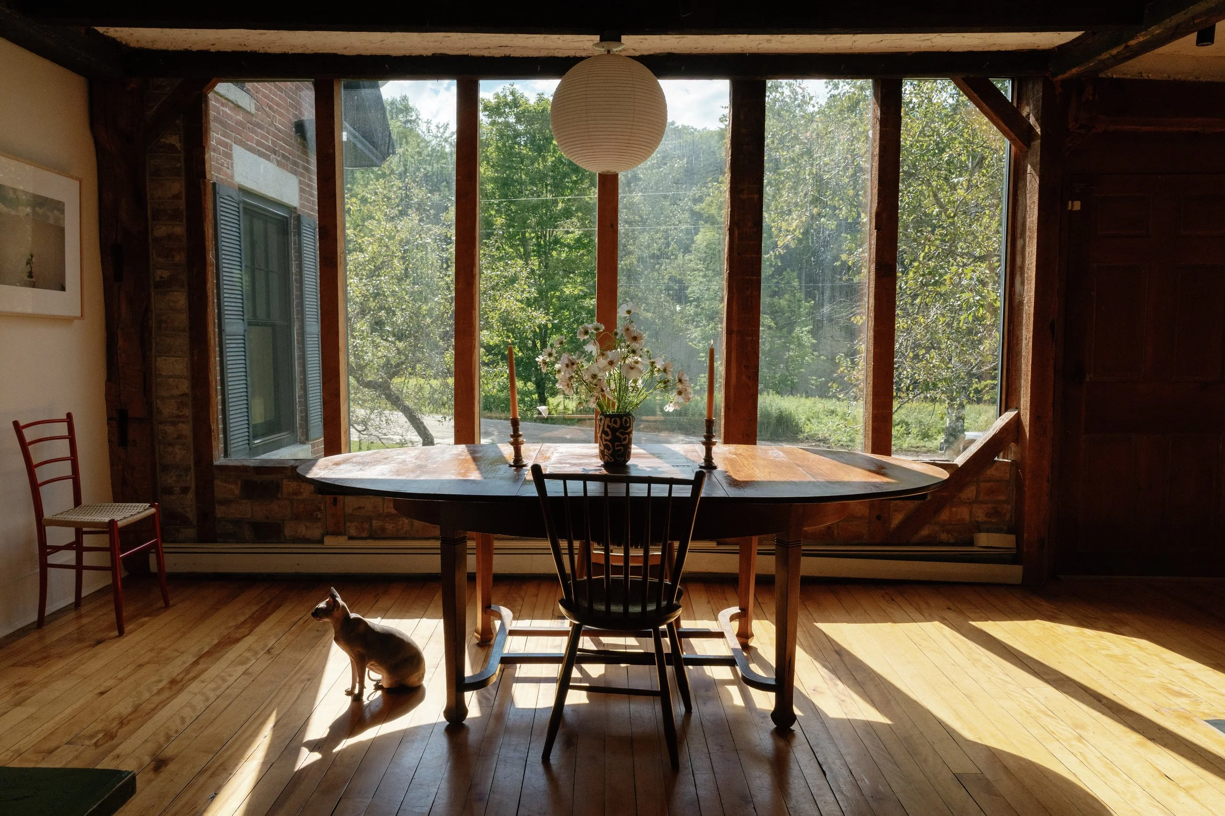 Sunlit room with a wooden dining table, flowers in a vase, and a dog sitting on the floor. Large windows reveal green trees outside.