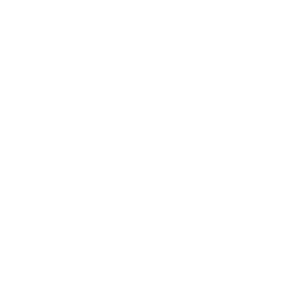 Ein gehisster schwarzer und weißer runder Logo mit einem Auto, Bäumen und Bergen im Hintergrund, dem Text "VANWAVE", einem Lagerfeuer-Symbol und den Worten "EST. 2020".
