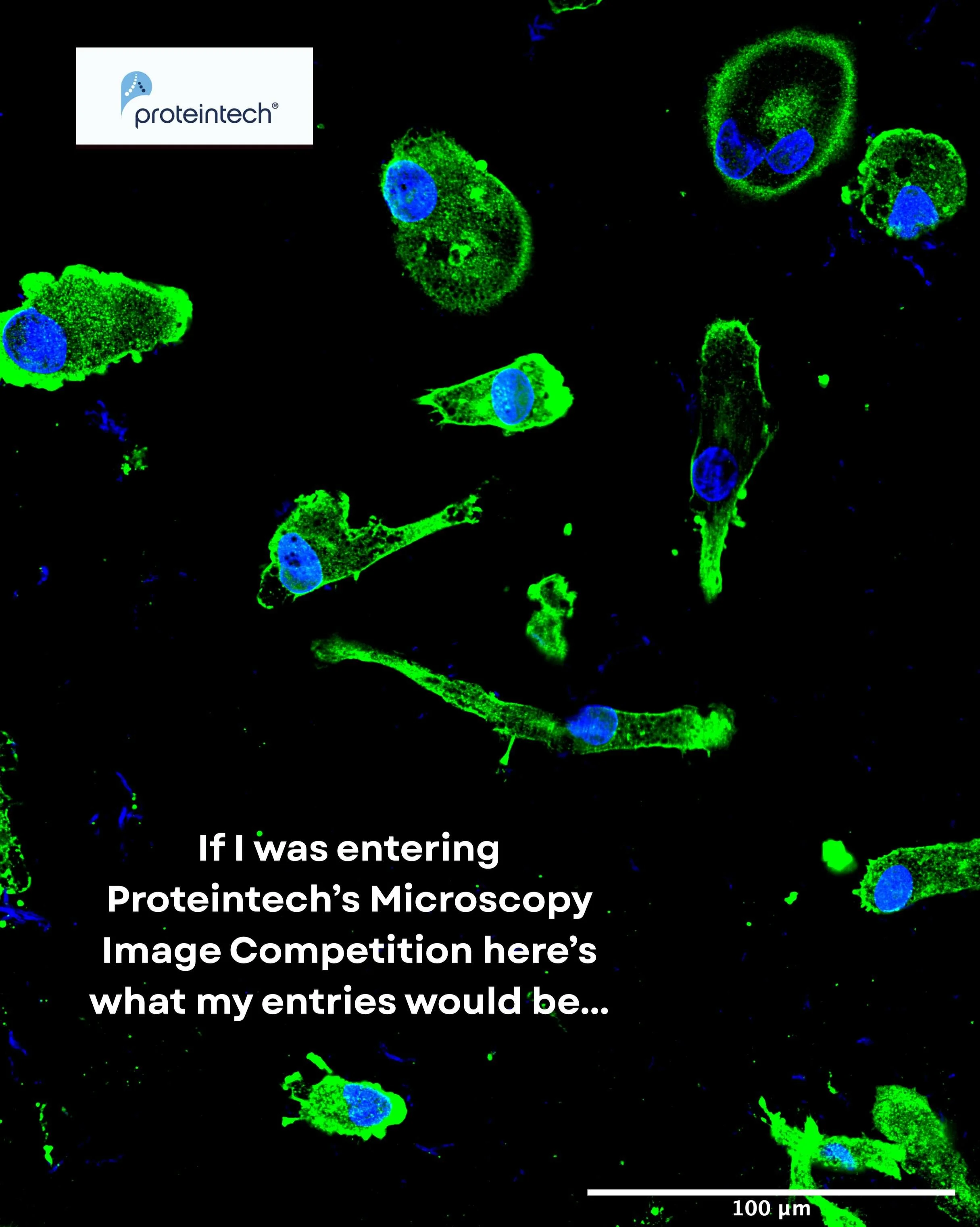 I bet you&rsquo;ve got some AMAZING microscopy images lying about - enter them into @proteintech&rsquo;s Microscopy Image Competition for a chance to win a &pound;200 Amazon Gift Card &amp; &pound;1000 Proteintech product grant (plus a framed print o
