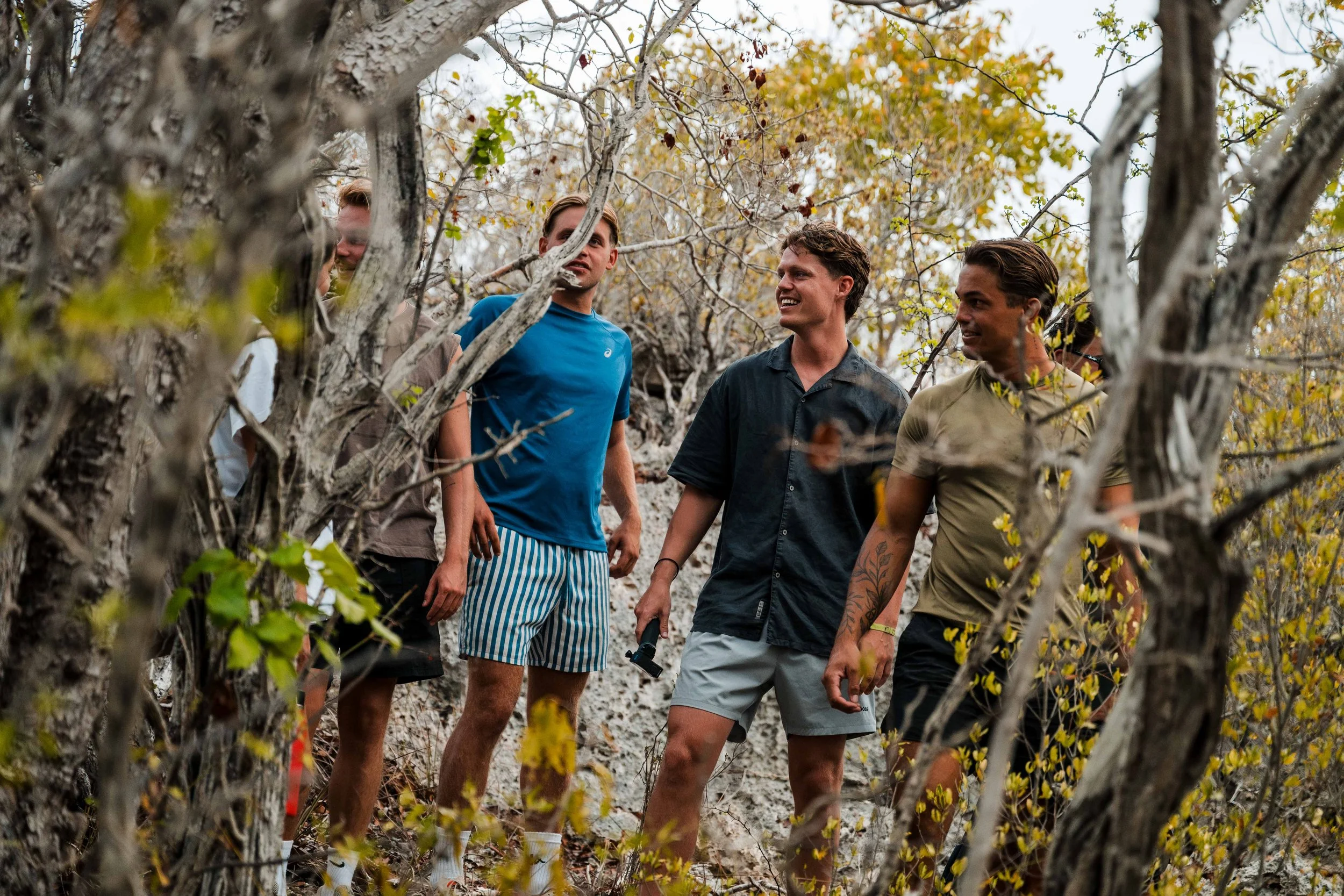 Group of four young men walking through a wooded area with autumn leaves on the trees and ground, engaged in conversation and smiling.