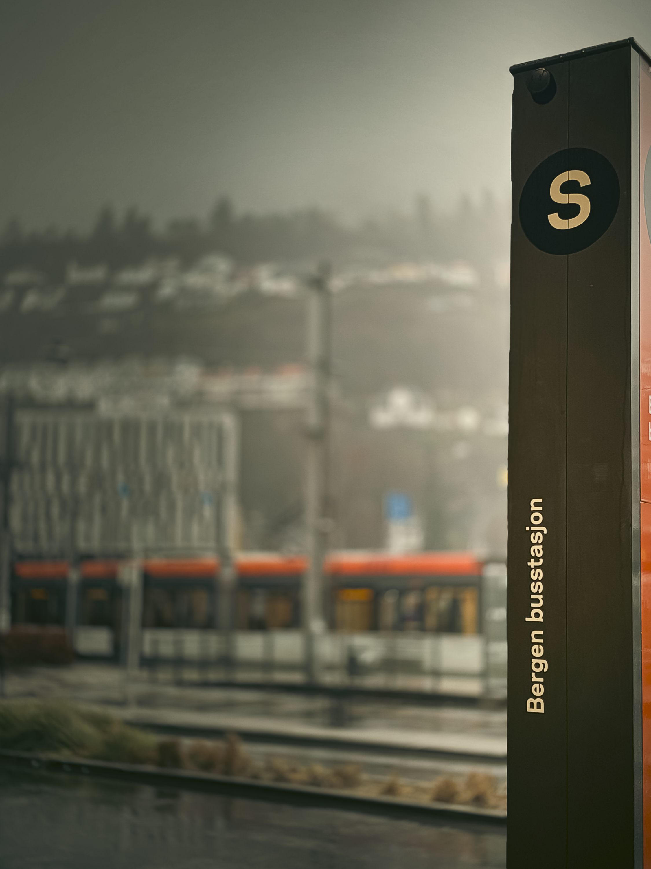 Bergen street 3.png