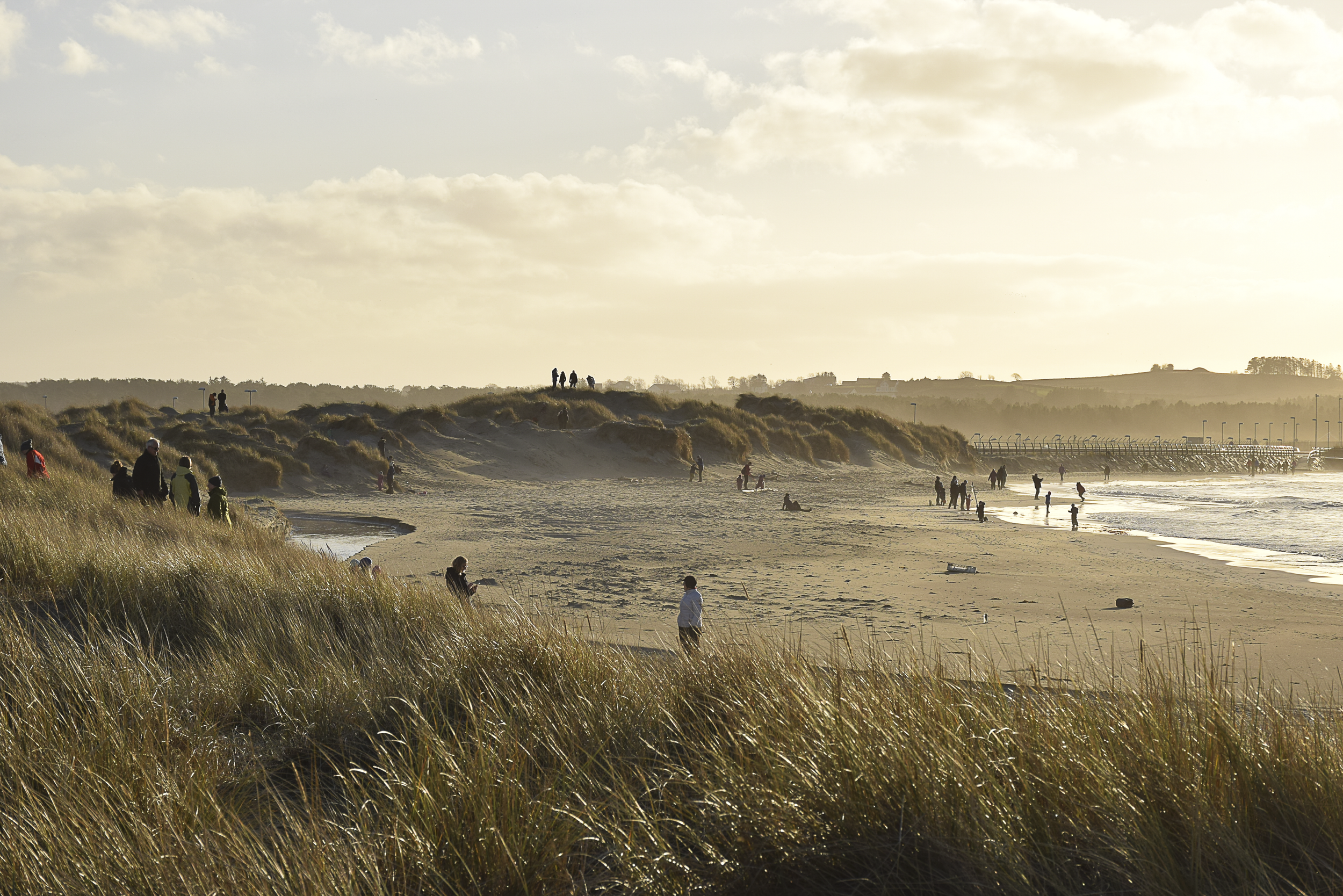 Sola strand.png