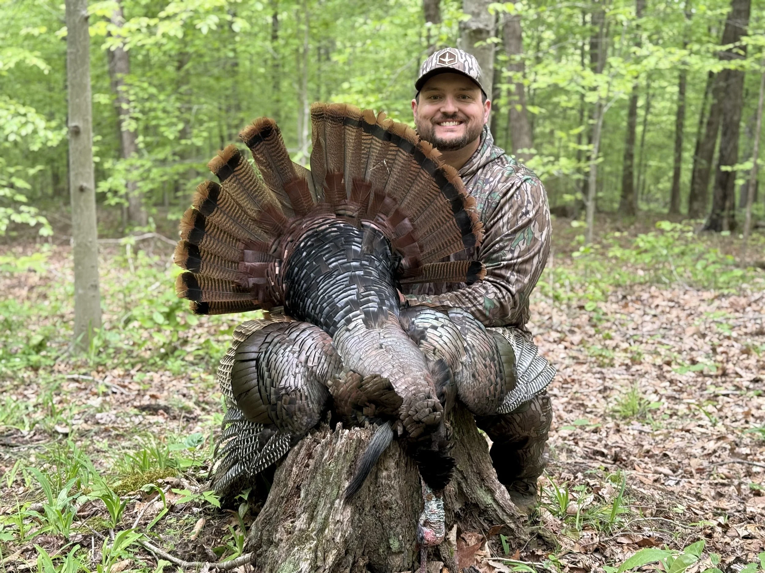 Public land turkey hunting