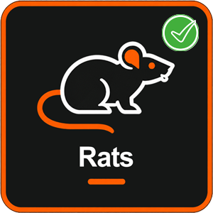 Rats