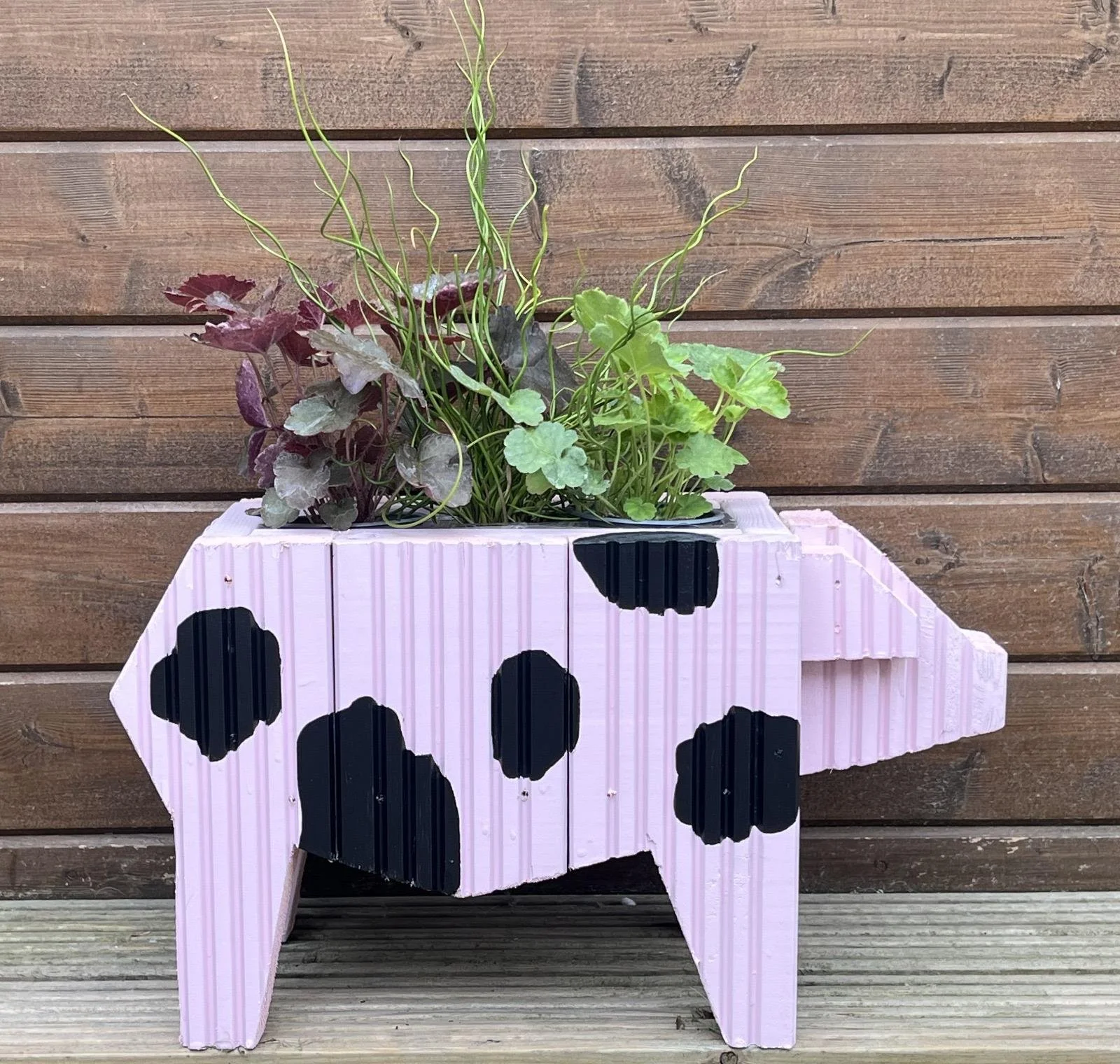 Grunty Pig