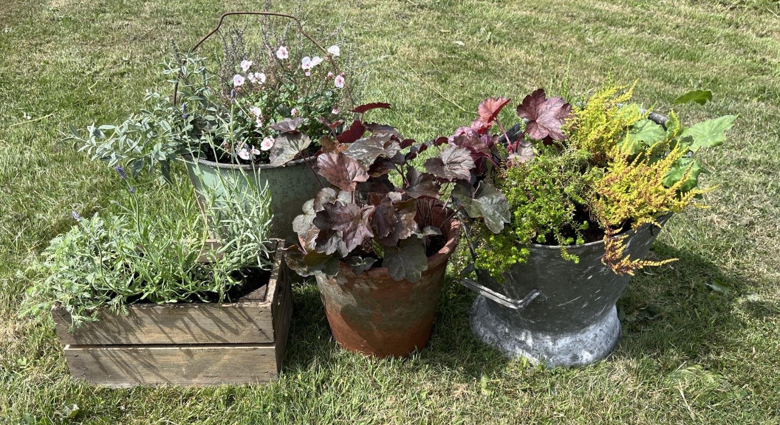 One-of-a-Kind Garden Planters