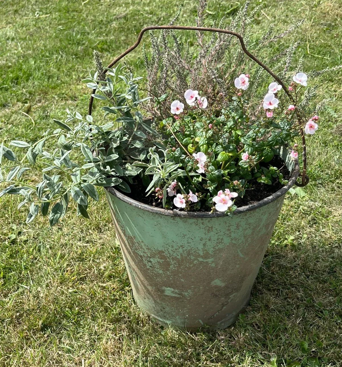 planter1.jpeg