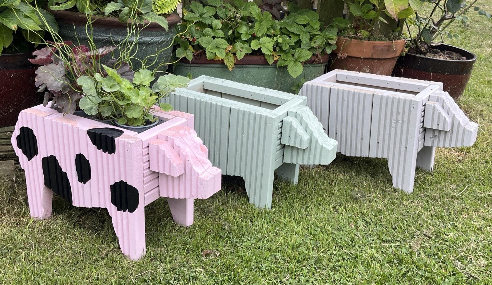 pigs.jpeg