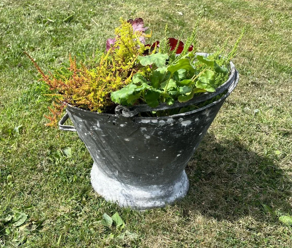 planter3.jpeg