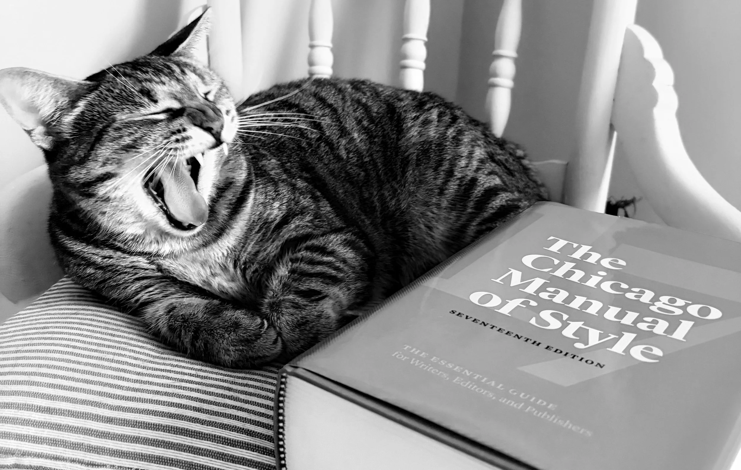 A sleeping tabby cat lying on a chair armrest next to a closed book titled 'The Chicago Manual of Style.'