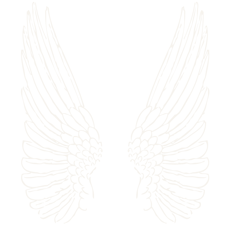 Outline of angel wings against a black background.