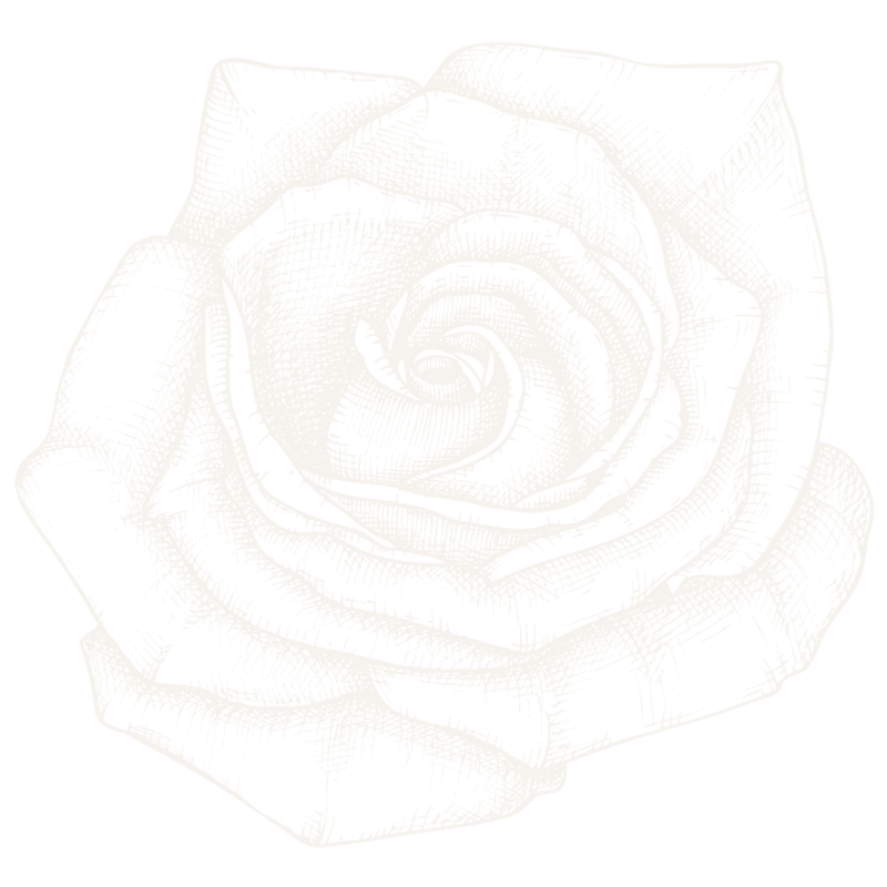 Line drawing of a rose flower with detailed petals on a black background.