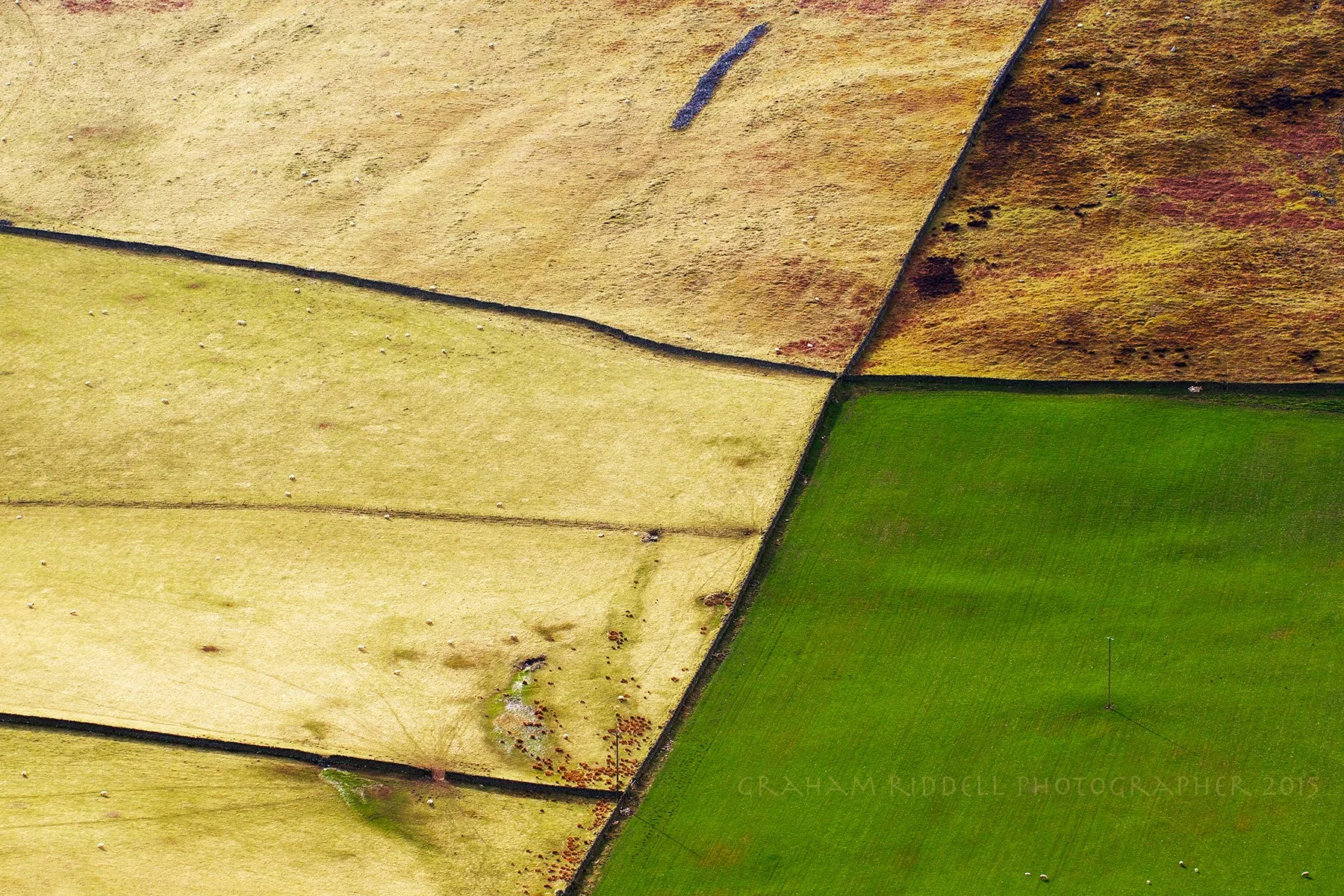 Landworks_5073_G-Riddell copy.jpg