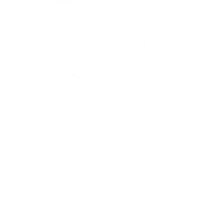 Lamor Ventures