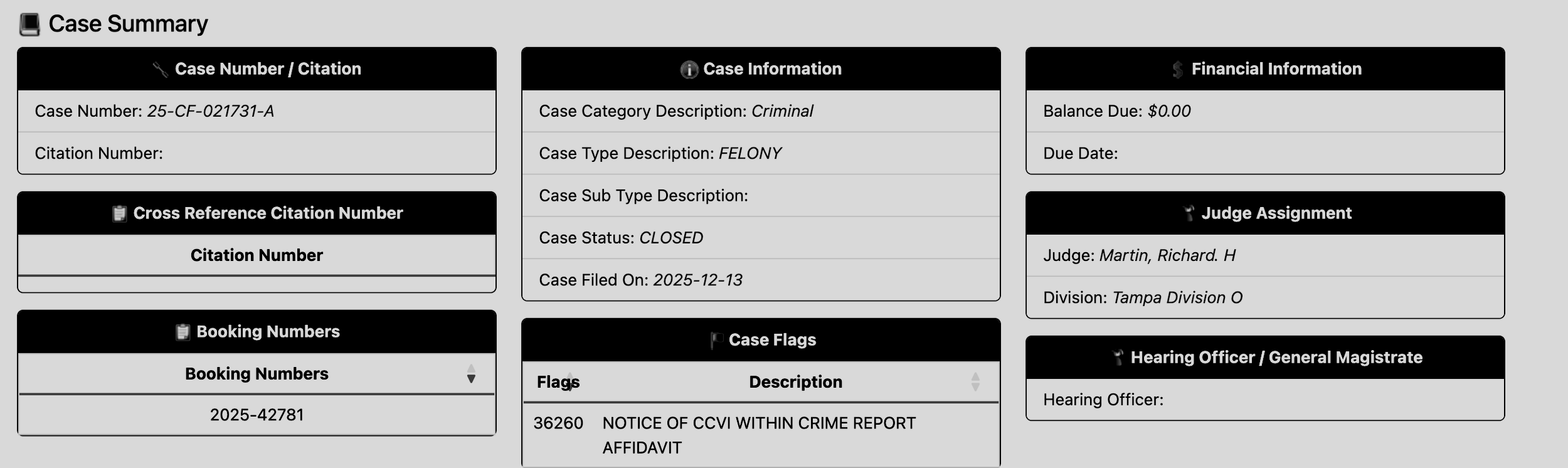 A detailed case summary document including case number, citation number, cross reference citation number, case information such as category as criminal and type as felony, case status as closed, case filed date, booking number, case flag with notice of CCVI within crime report affidavit, judge's name as Richard H. Martin, division as Tampa Division O, and hearing officer's name.