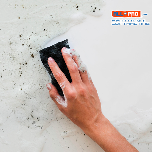 Interior Painting expert in North Carolina