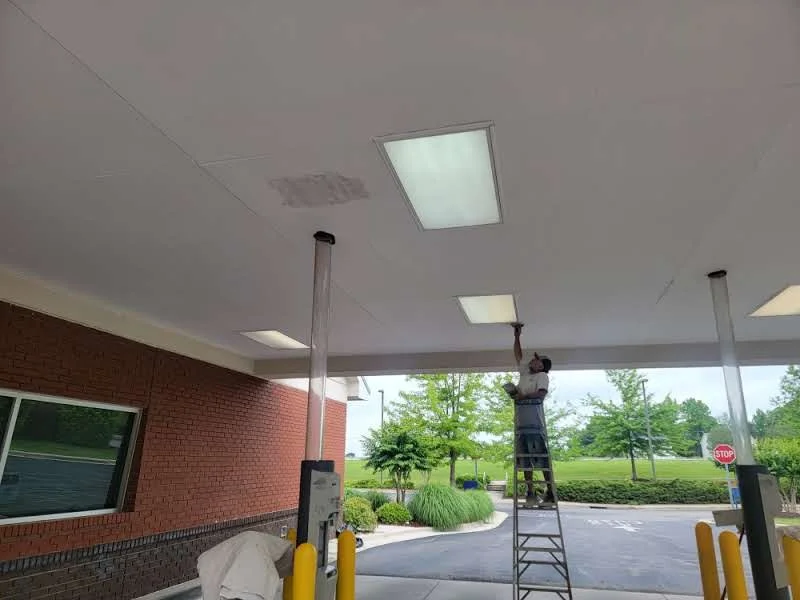 Professional Painters