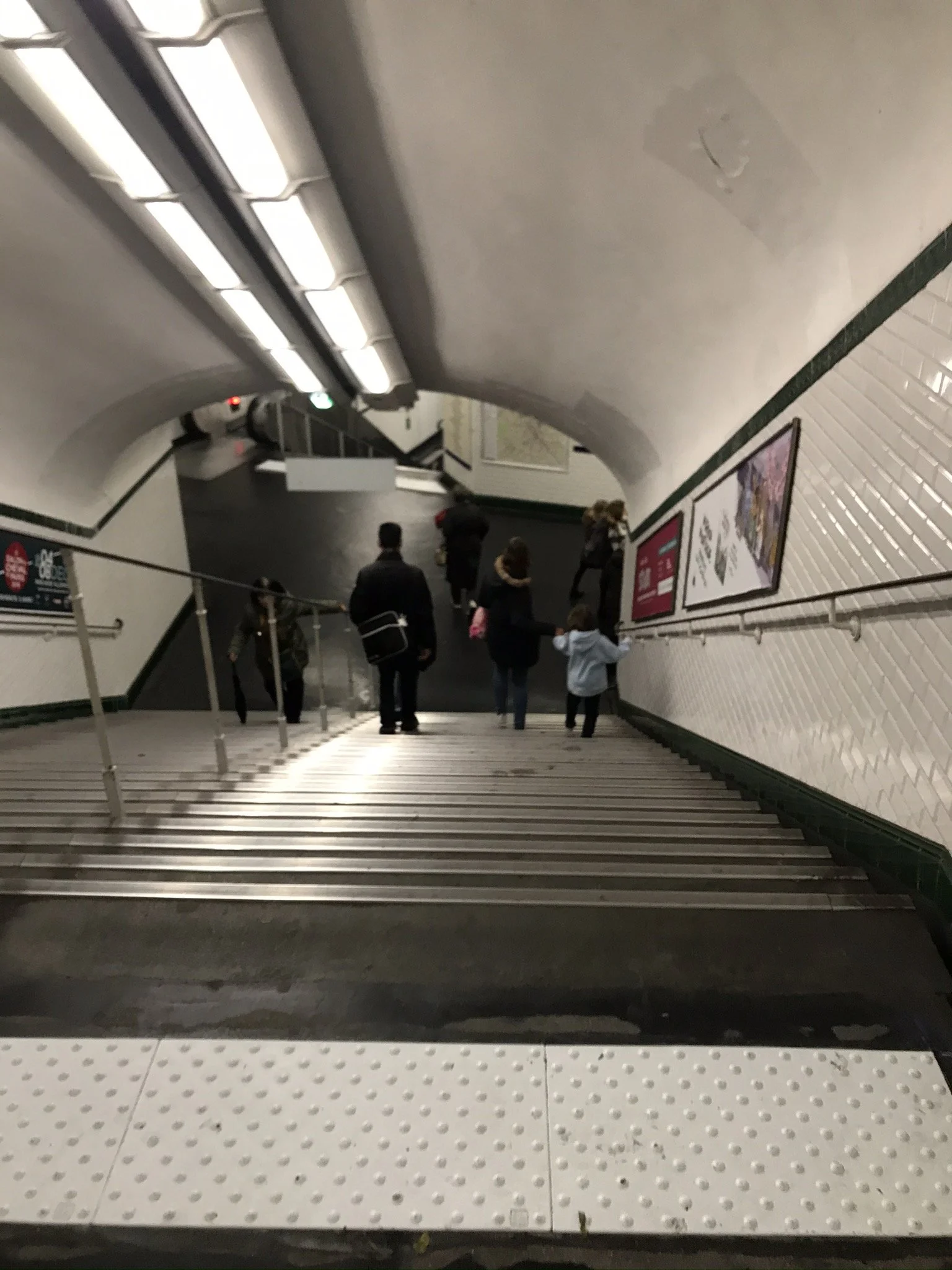 IMG_3161.JPEG