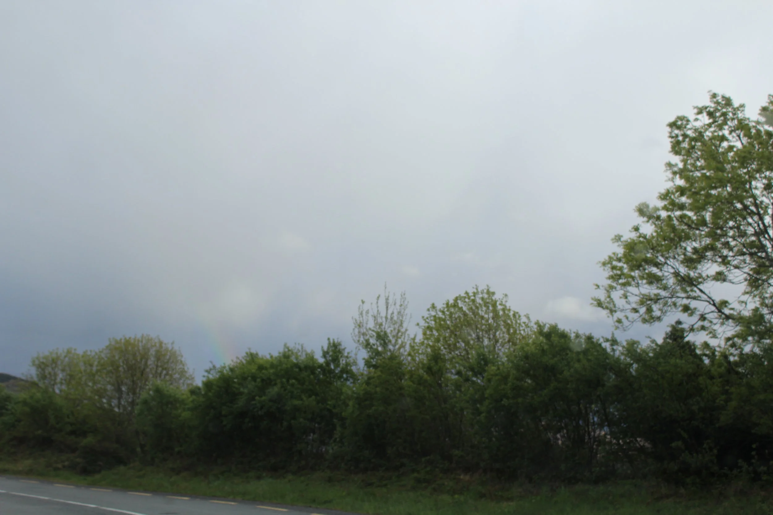 15-0518_Kenmare-4.JPG