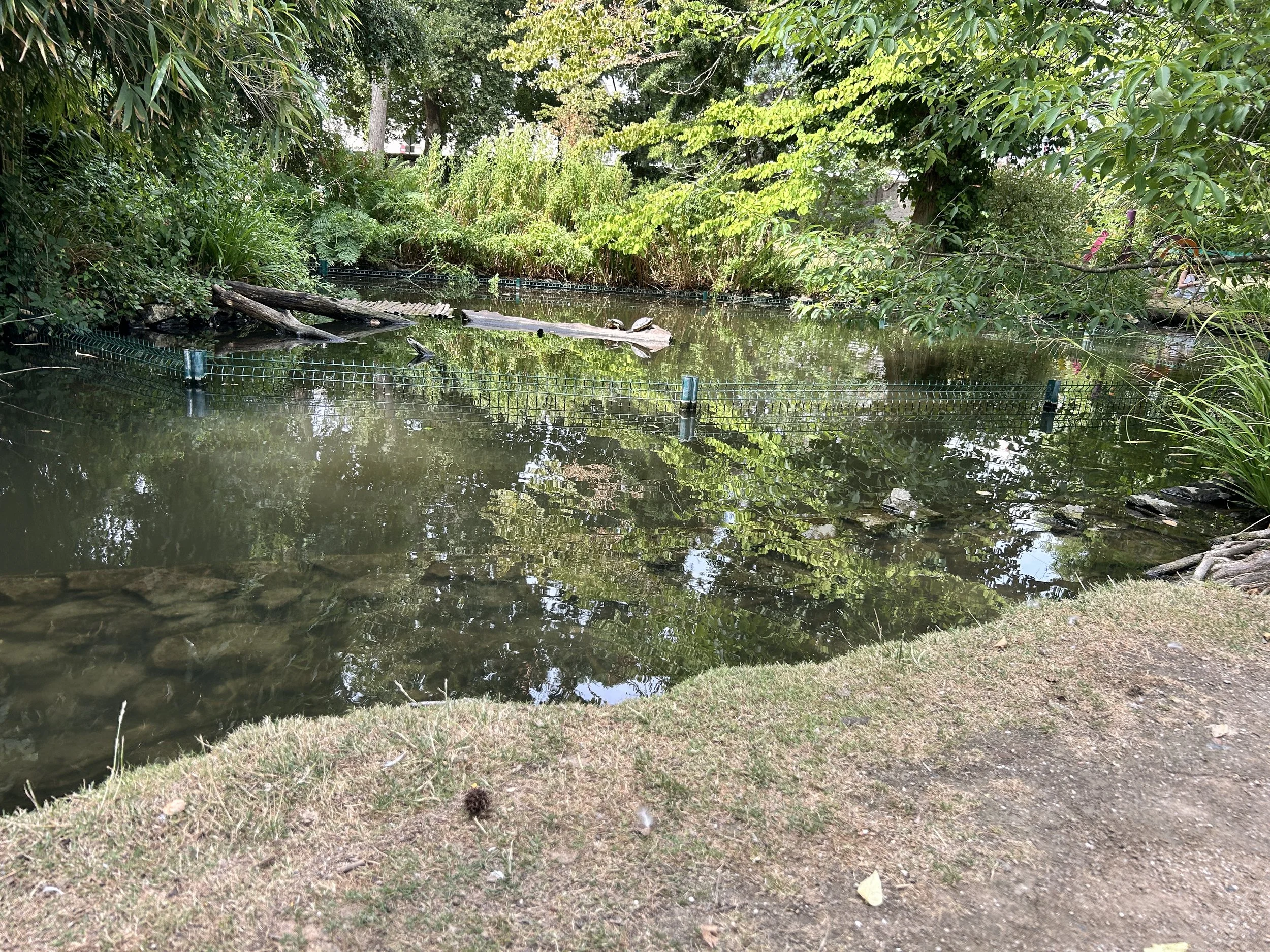 20260716_102122909_iOS.jpg
