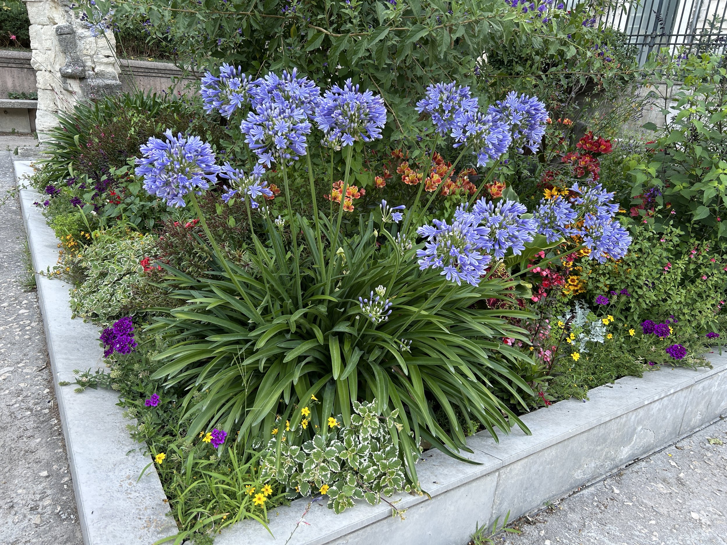 IMG_9563.JPG