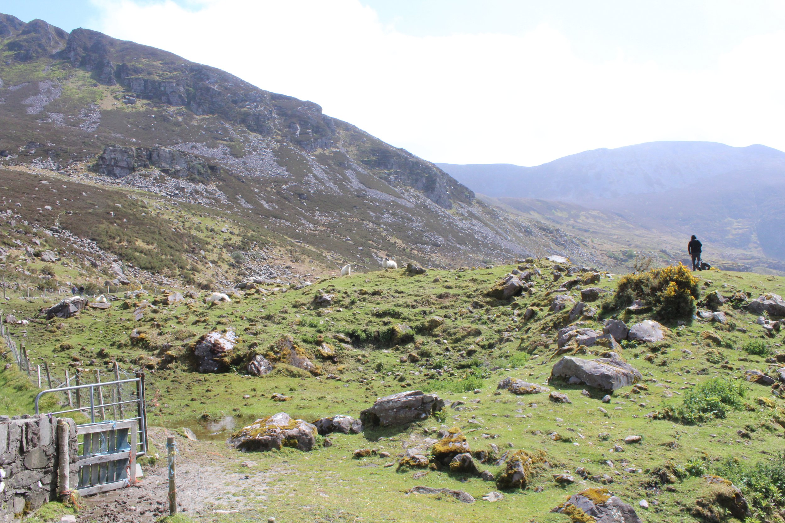 15-0519_Gap of Dunloe_15.JPG
